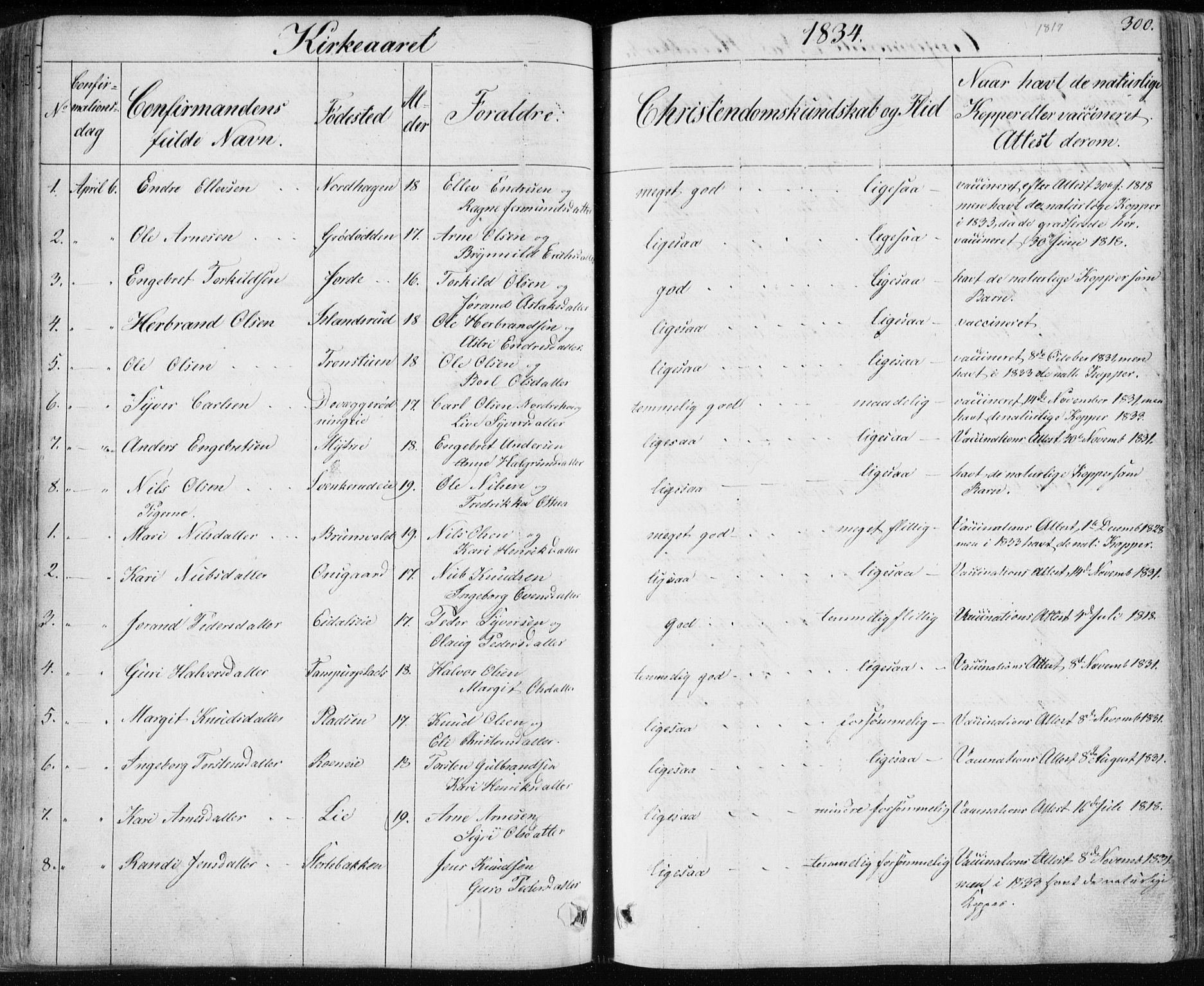 Nes kirkebøker, SAKO/A-236/F/Fa/L0009: Parish register (official) no. 9, 1834-1863, p. 300