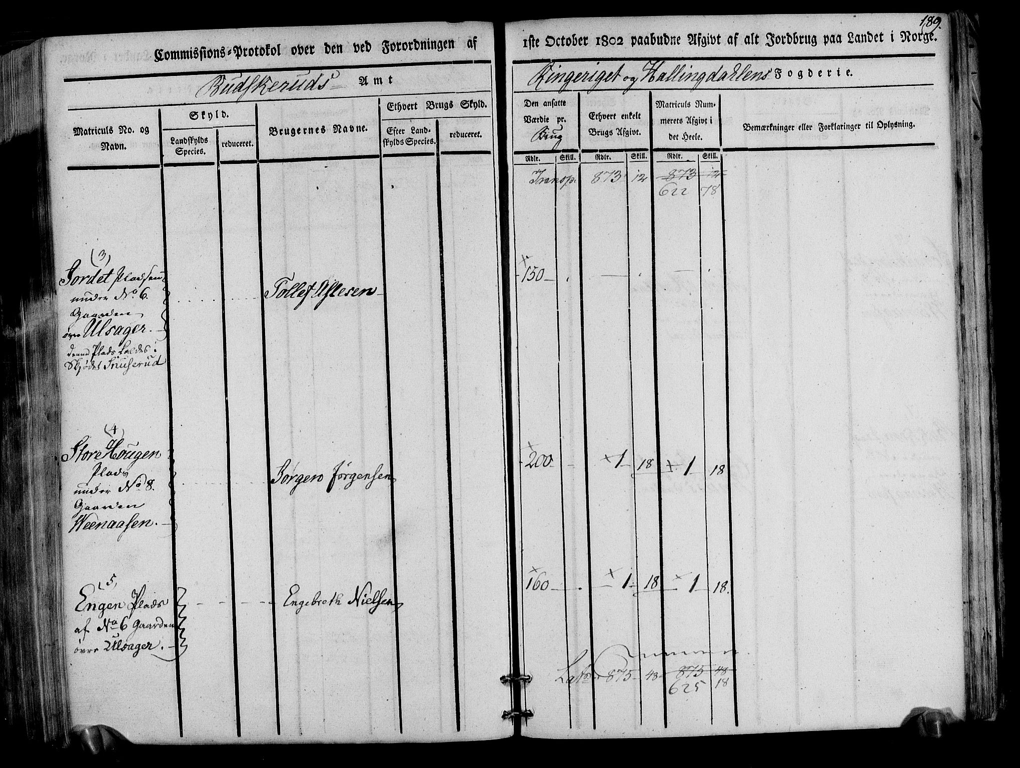 Rentekammeret inntil 1814, Realistisk ordnet avdeling, RA/EA-4070/N/Ne/Nea/L0047: Ringerike og Hallingdal fogderi. Kommisjonsprotokoll for Nes prestegjeld, 1803, p. 192