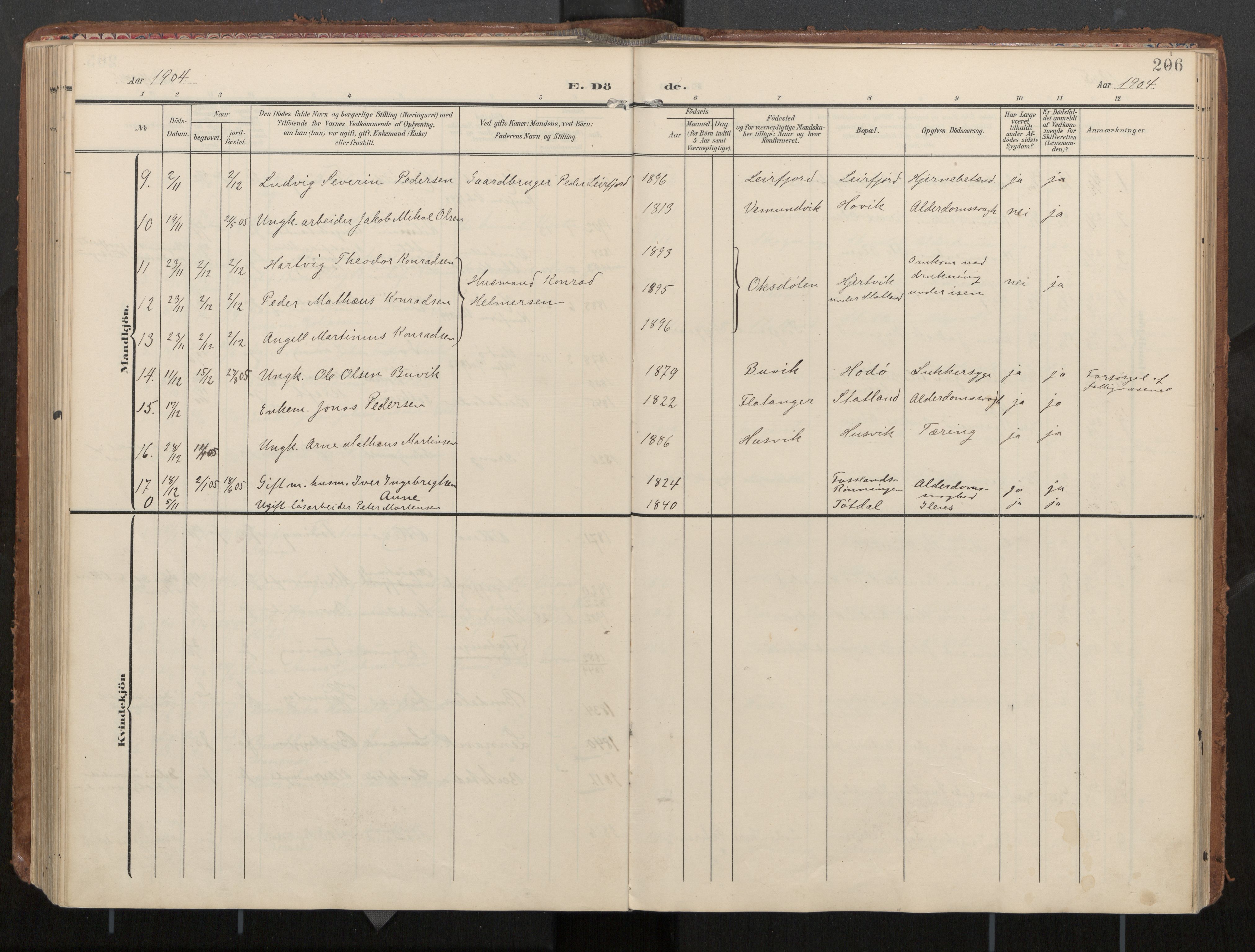 Ministerialprotokoller, klokkerbøker og fødselsregistre - Nord-Trøndelag, AV/SAT-A-1458/774/L0629: Parish register (official), 1904-1926, p. 206