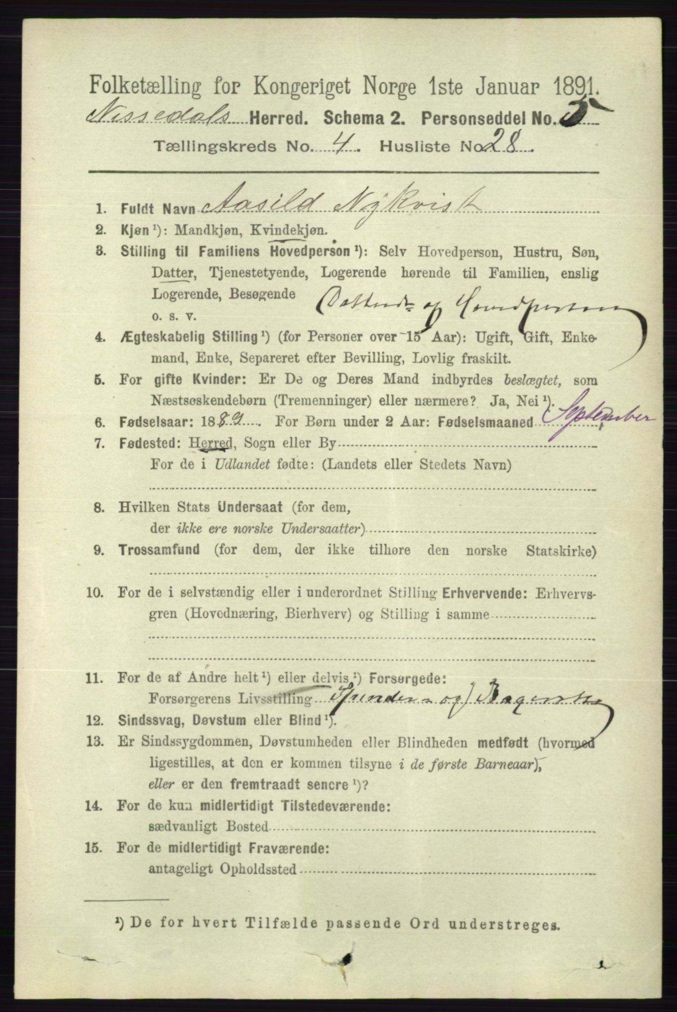 RA, 1891 census for 0830 Nissedal, 1891, p. 1056