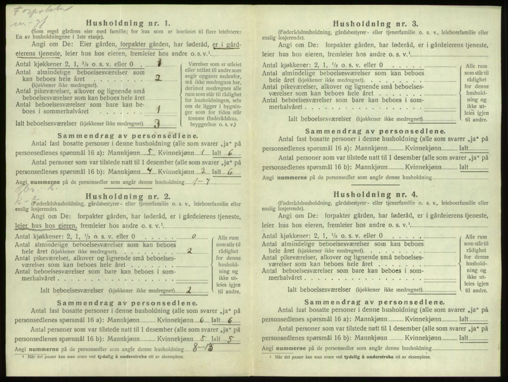 SAB, 1920 census for Hornindal, 1920, p. 101