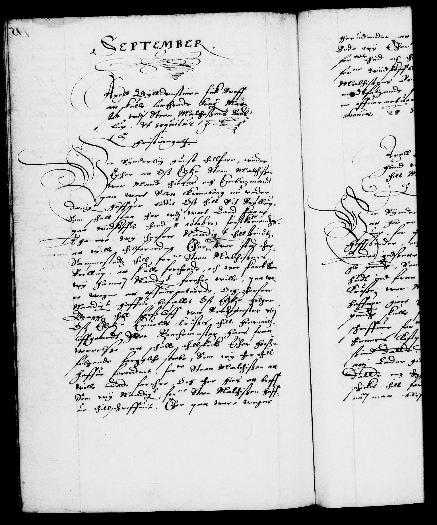 Danske Kanselli 1572-1799, AV/RA-EA-3023/F/Fc/Fca/Fcab/L0002: Norske tegnelser (mikrofilm), 1588-1596, p. 195b