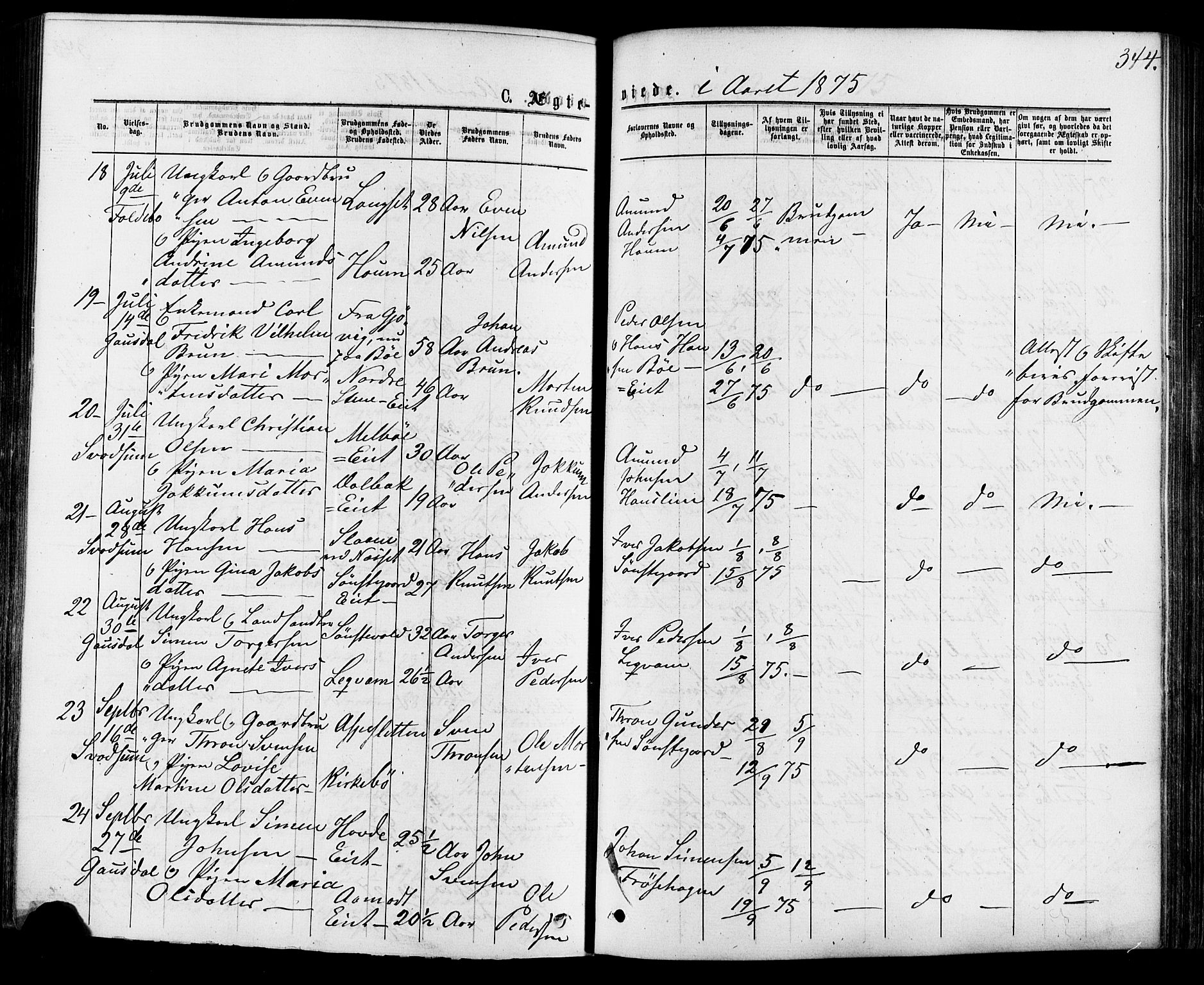 Østre Gausdal prestekontor, SAH/PREST-092/H/Ha/Haa/L0001: Parish register (official) no. 1, 1874-1886, p. 344