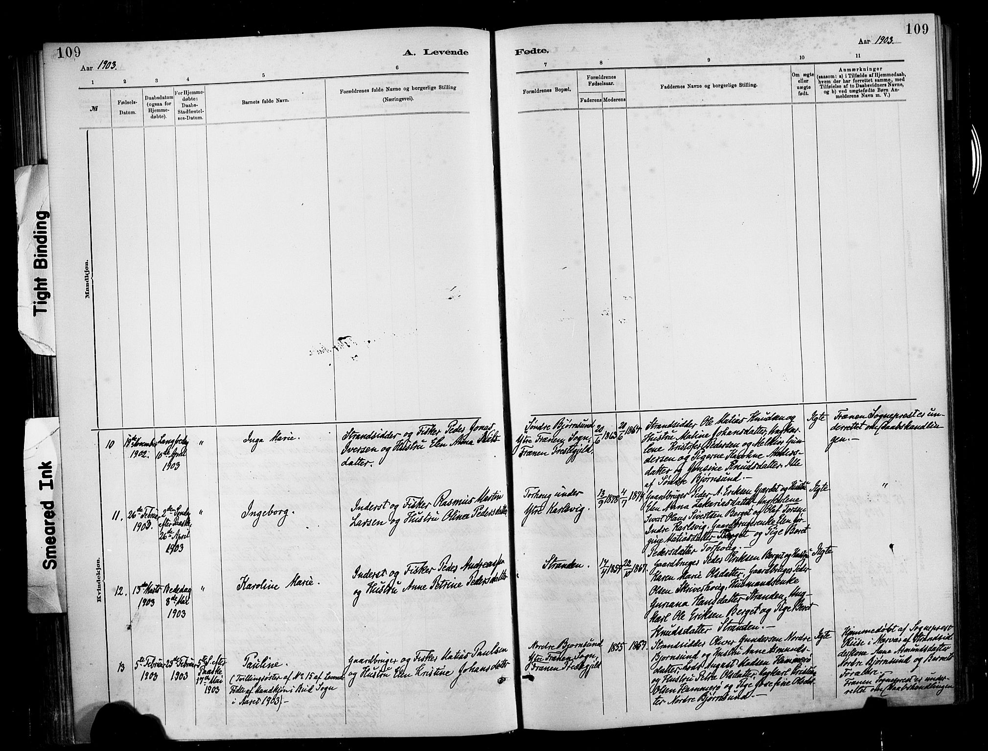 Ministerialprotokoller, klokkerbøker og fødselsregistre - Møre og Romsdal, AV/SAT-A-1454/566/L0769: Parish register (official) no. 566A08, 1881-1903, p. 109