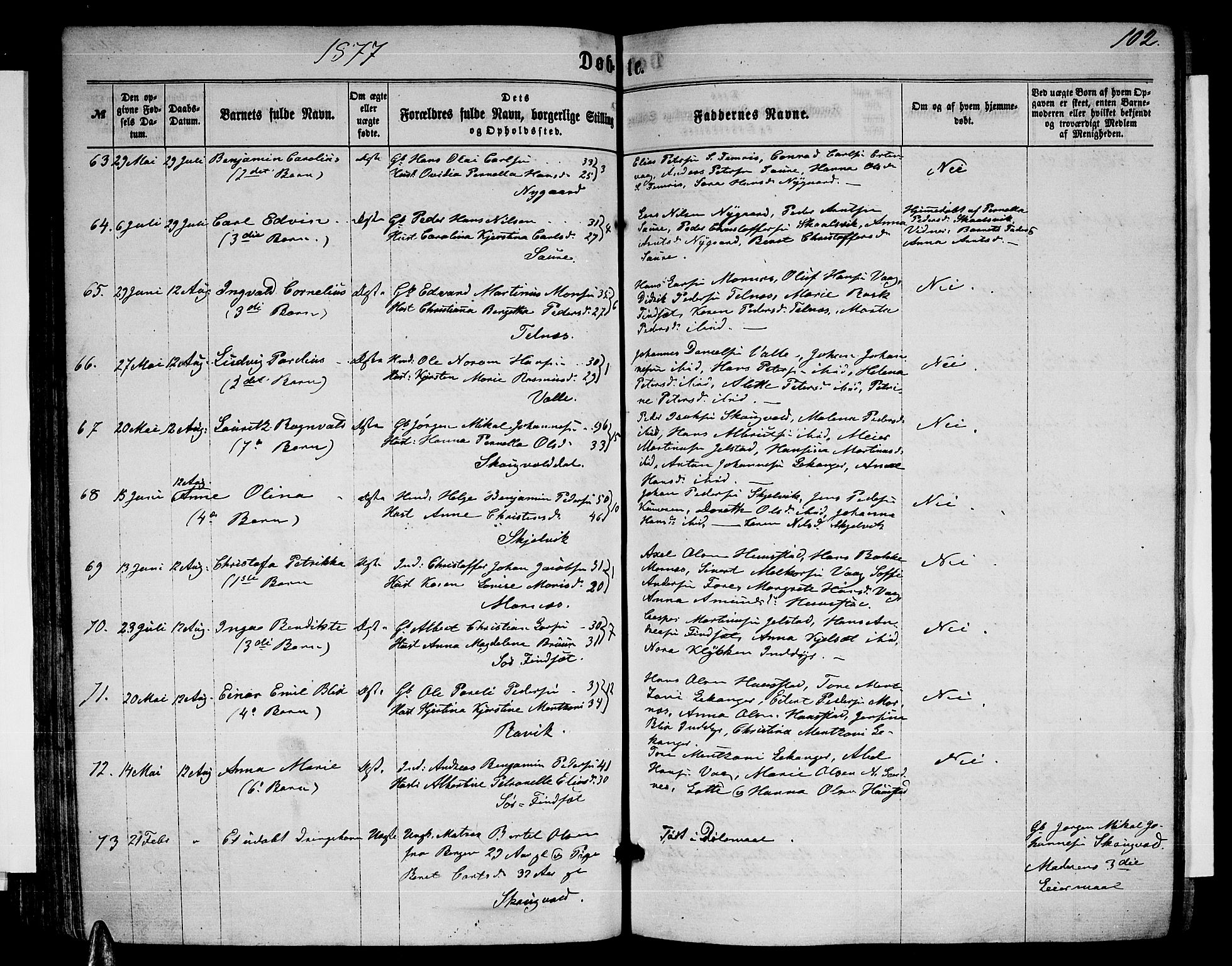 Ministerialprotokoller, klokkerbøker og fødselsregistre - Nordland, AV/SAT-A-1459/805/L0107: Parish register (copy) no. 805C03, 1862-1885, p. 102