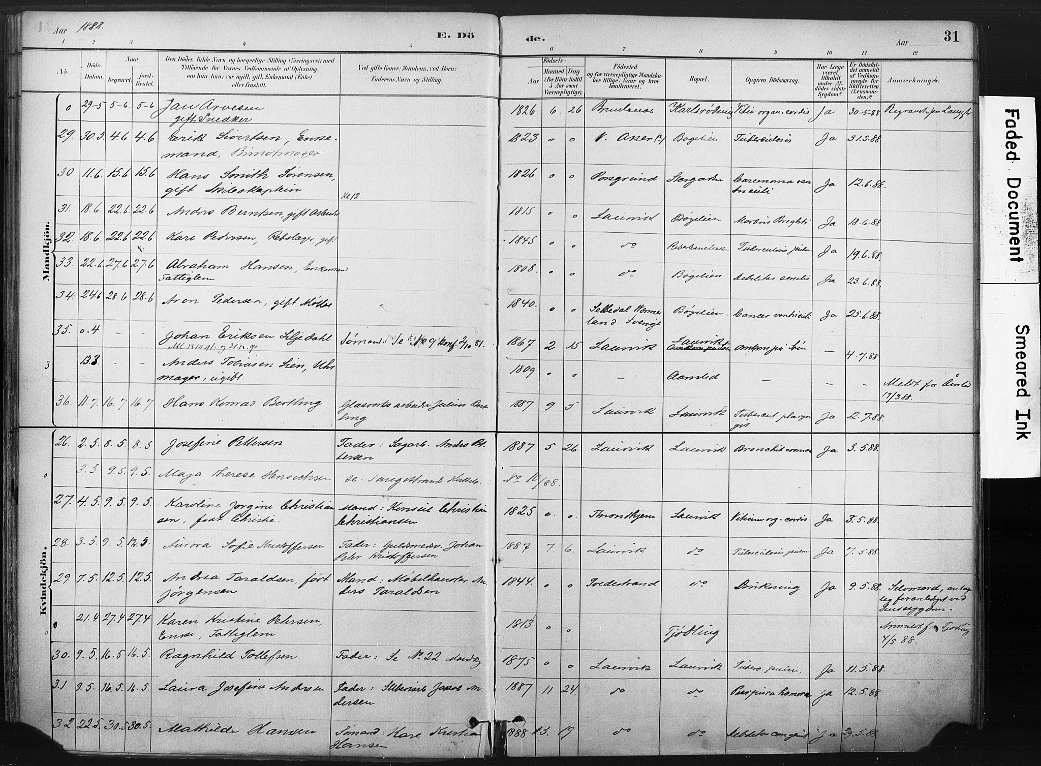 Larvik kirkebøker, AV/SAKO-A-352/F/Fa/L0010: Parish register (official) no. I 10, 1884-1910, p. 31