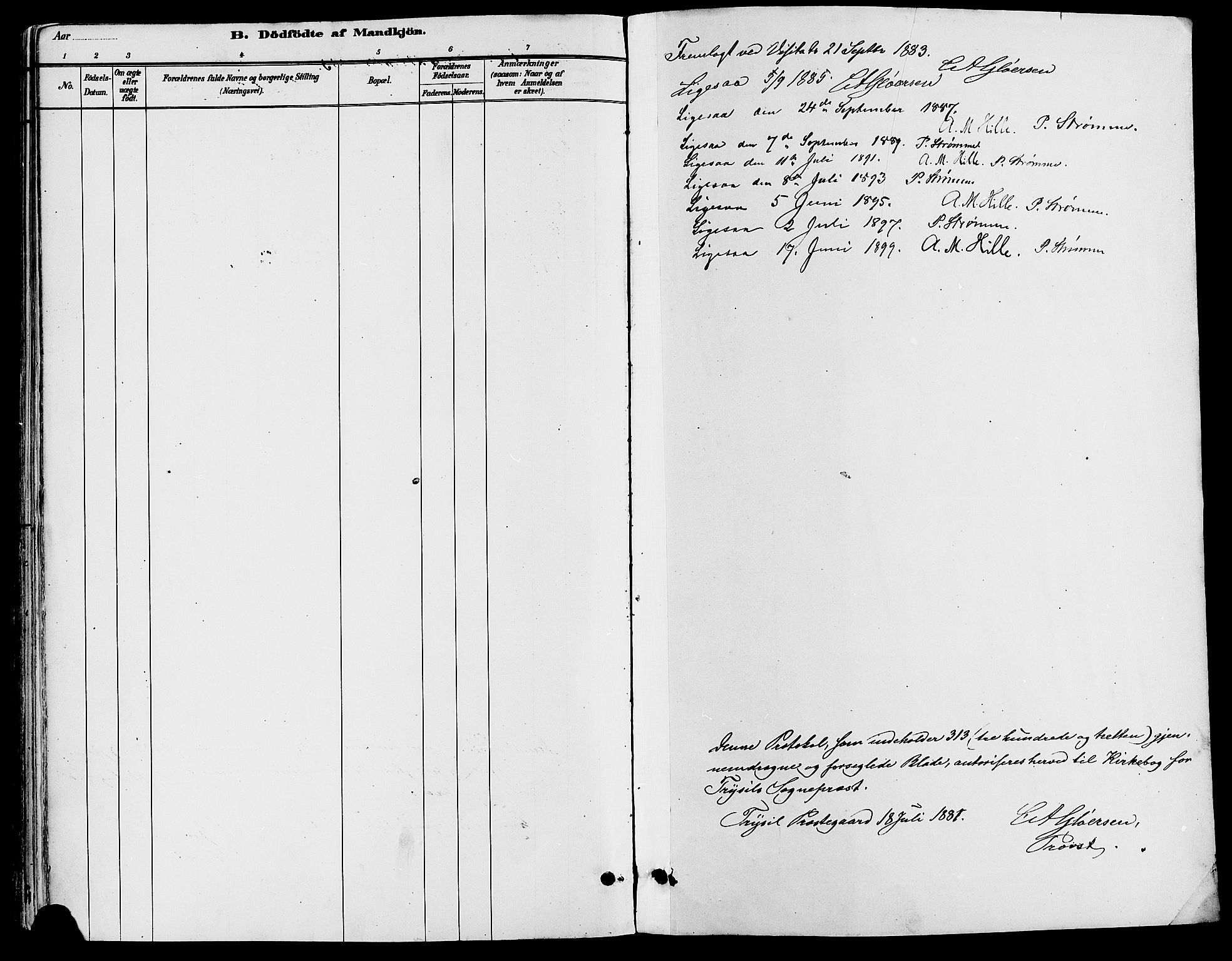 Trysil prestekontor, SAH/PREST-046/H/Ha/Haa/L0008: Parish register (official) no. 8, 1881-1897