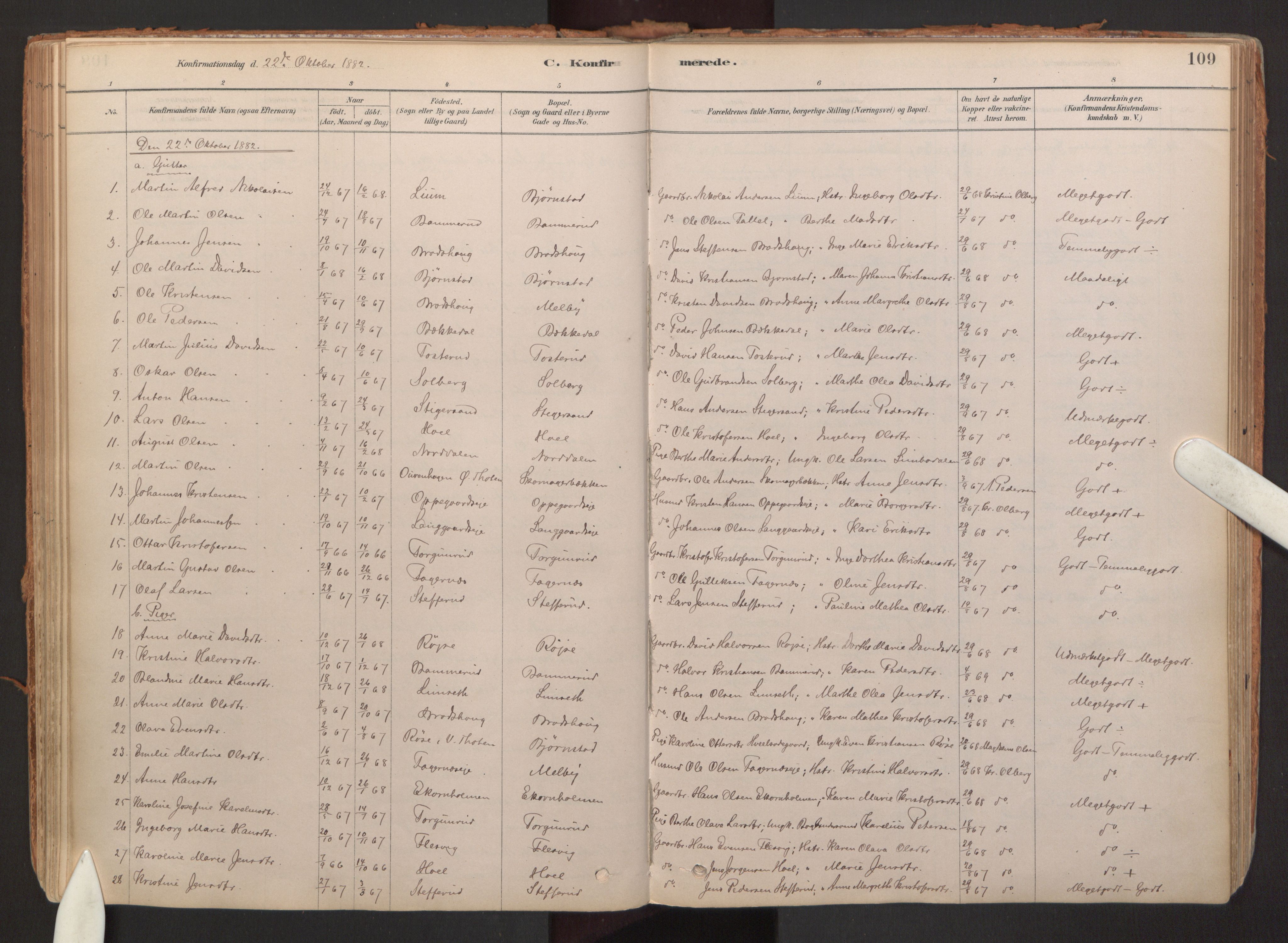 Hurdal prestekontor Kirkebøker, SAO/A-10889/F/Fb/L0003: Parish register (official) no. II 3, 1878-1920, p. 109
