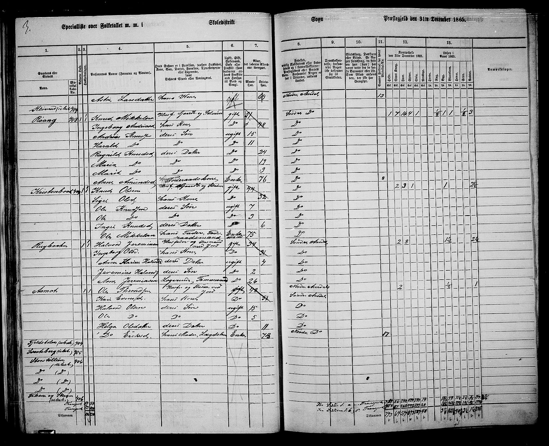 RA, 1865 census for Sør-Aurdal, 1865, p. 45