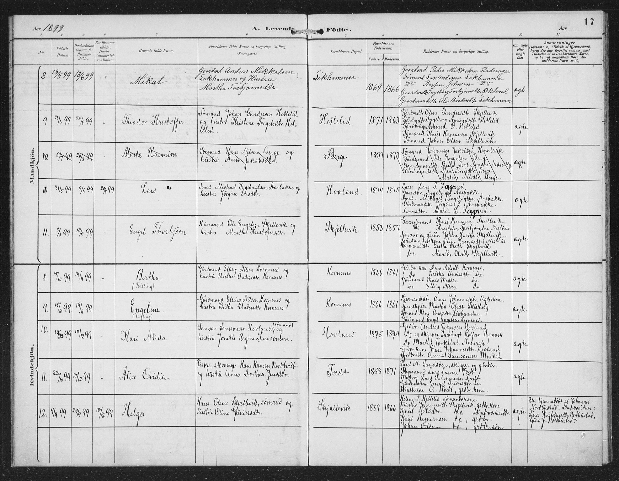 Tysnes sokneprestembete, AV/SAB-A-78601/H/Hab: Parish register (copy) no. C 2, 1896-1907, p. 17