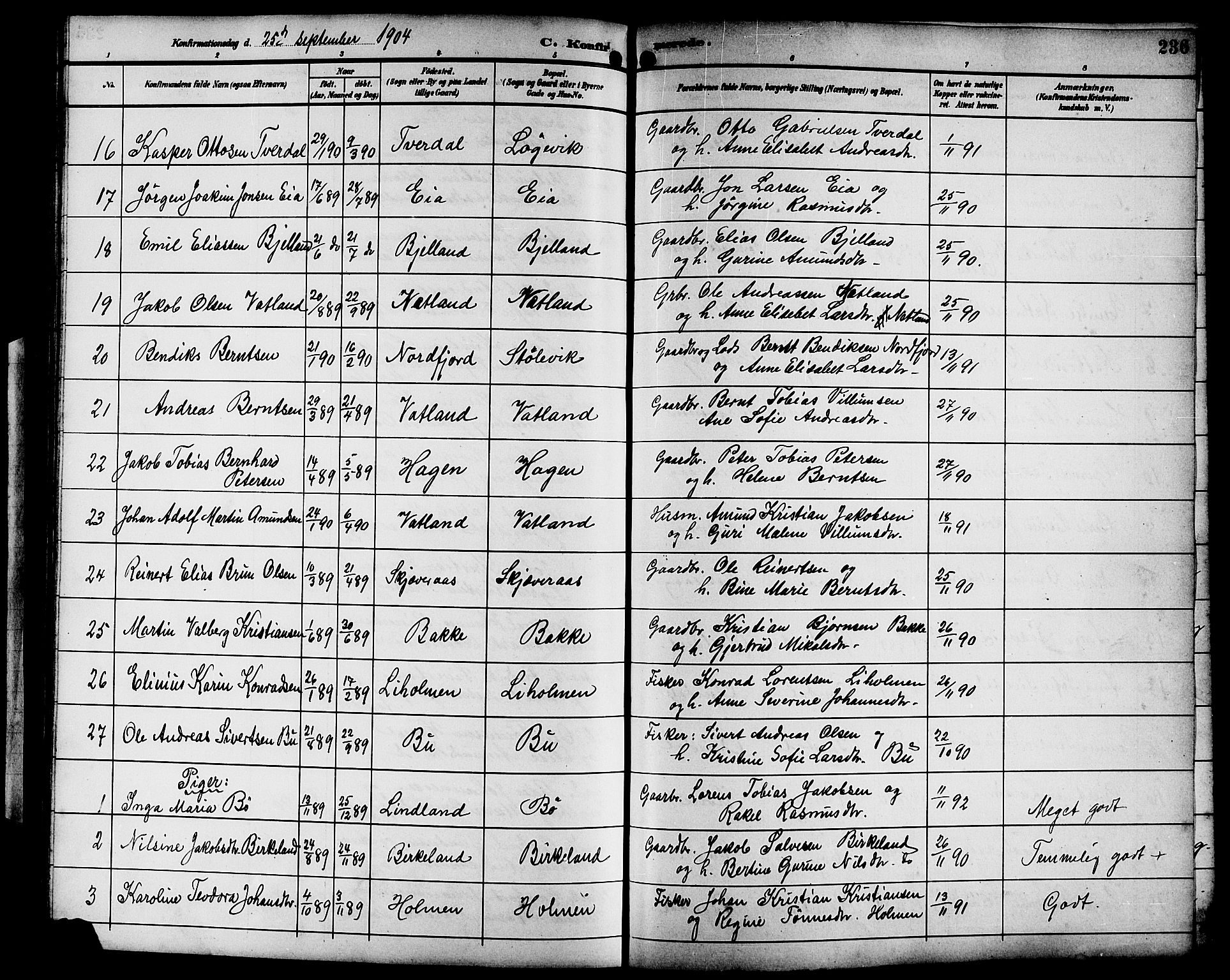 Sokndal sokneprestkontor, AV/SAST-A-101808: Parish register (copy) no. B 6, 1892-1907, p. 236