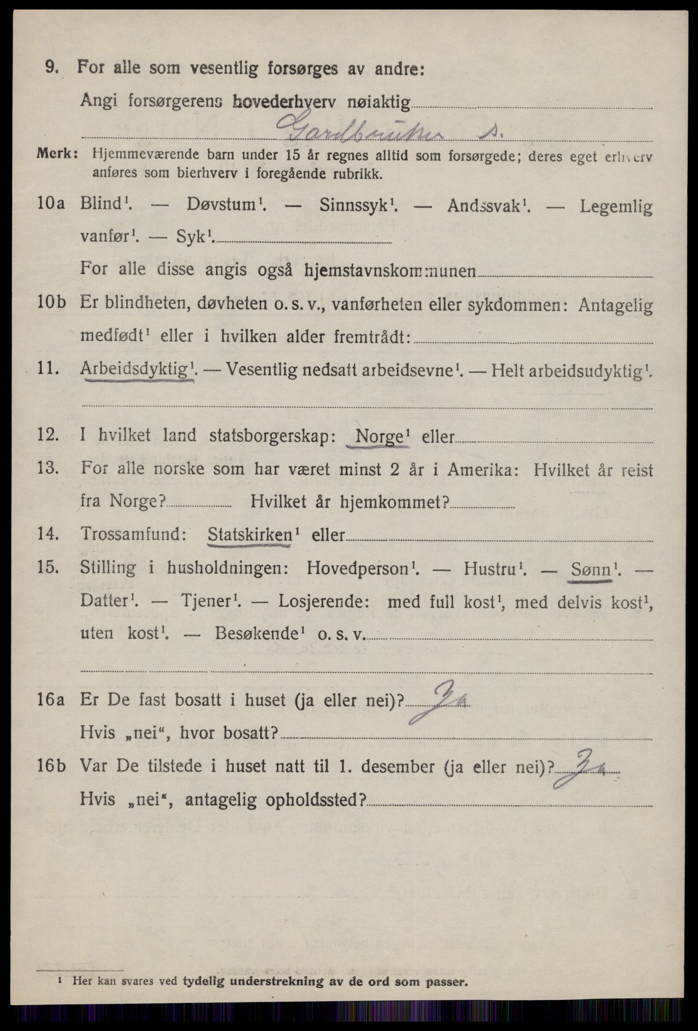 SAT, 1920 census for Hustad, 1920, p. 1524