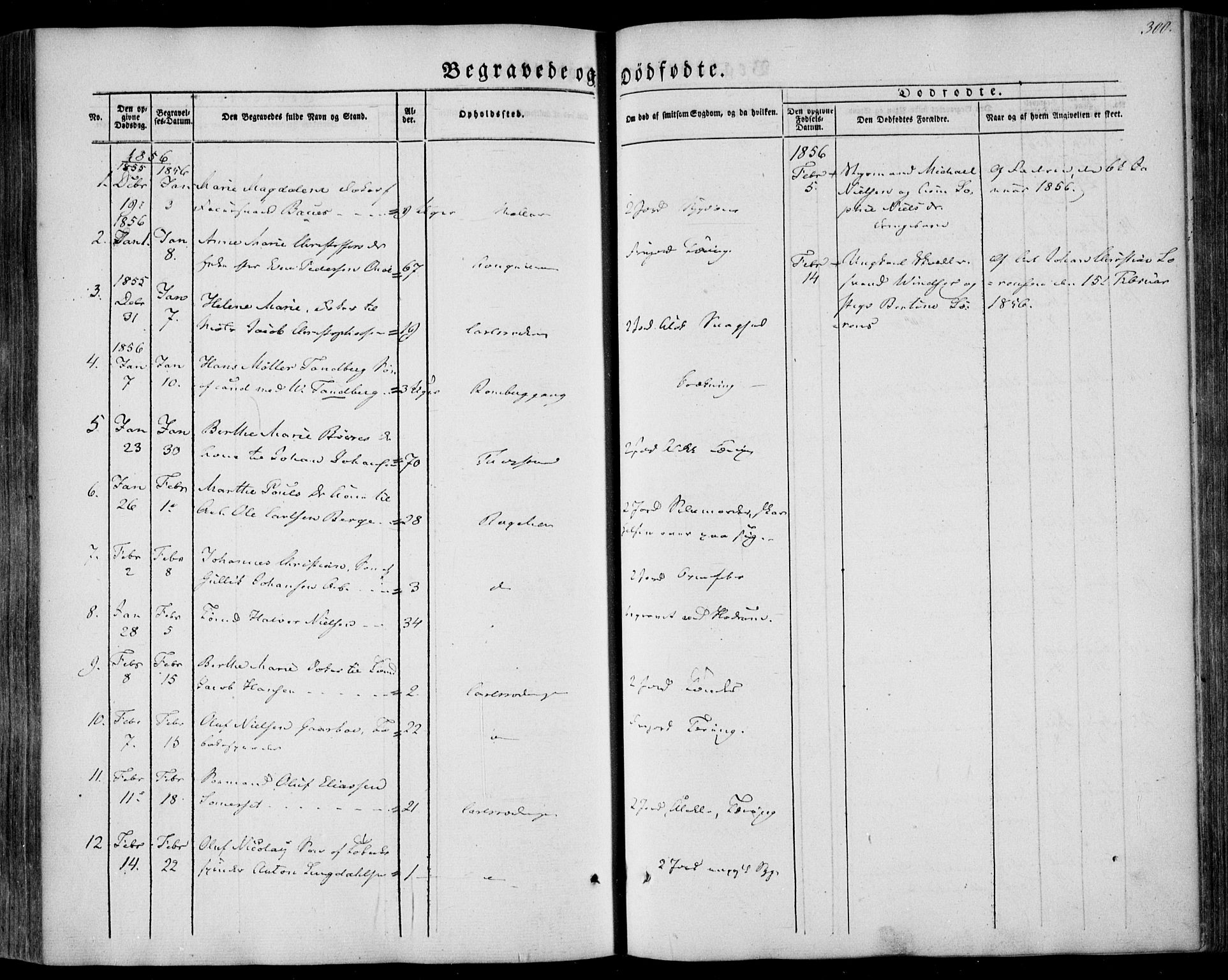 Larvik kirkebøker, SAKO/A-352/F/Fa/L0003: Parish register (official) no. I 3, 1848-1856, p. 300