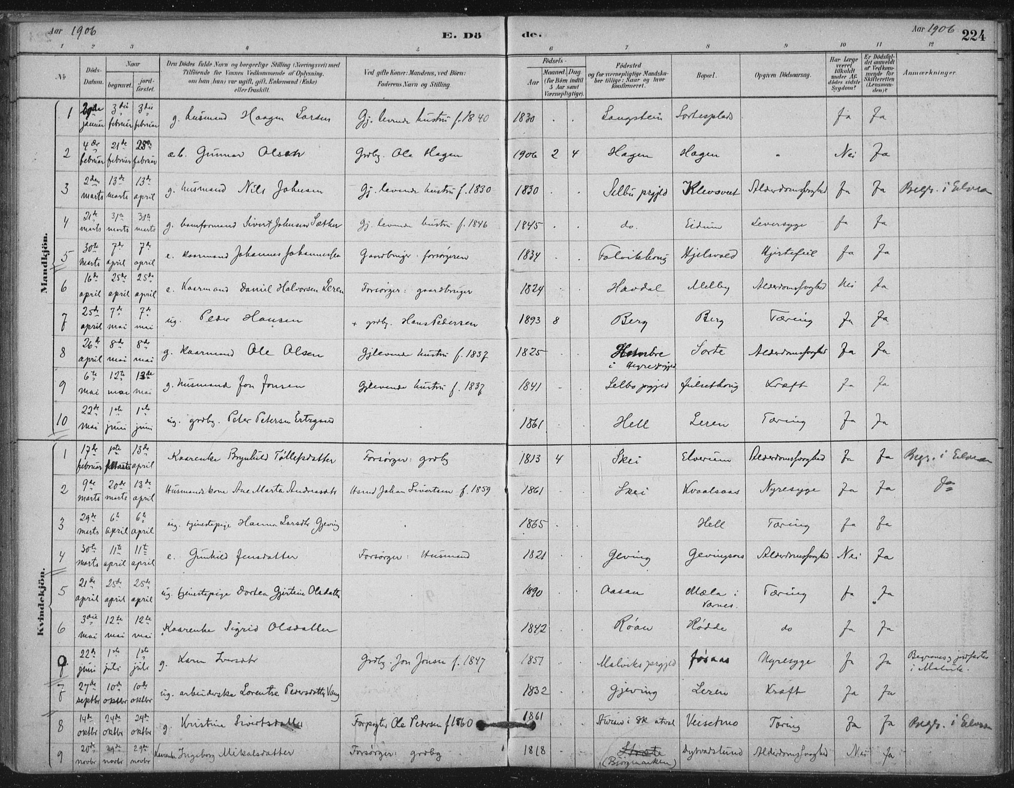 Ministerialprotokoller, klokkerbøker og fødselsregistre - Nord-Trøndelag, SAT/A-1458/710/L0095: Parish register (official) no. 710A01, 1880-1914, p. 224