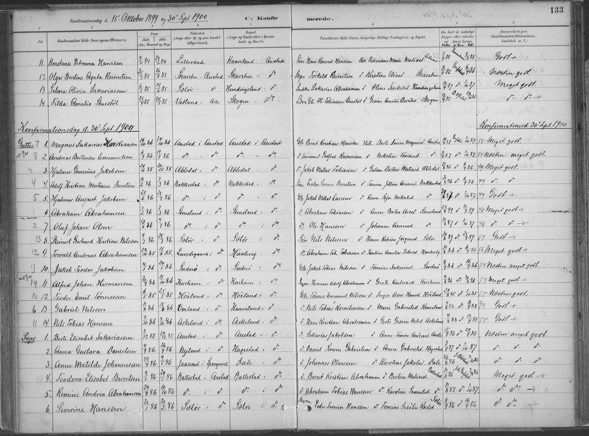 Lyngdal sokneprestkontor, SAK/1111-0029/F/Fa/Faa/L0004: Parish register (official) no. A 4, 1883-1904, p. 133