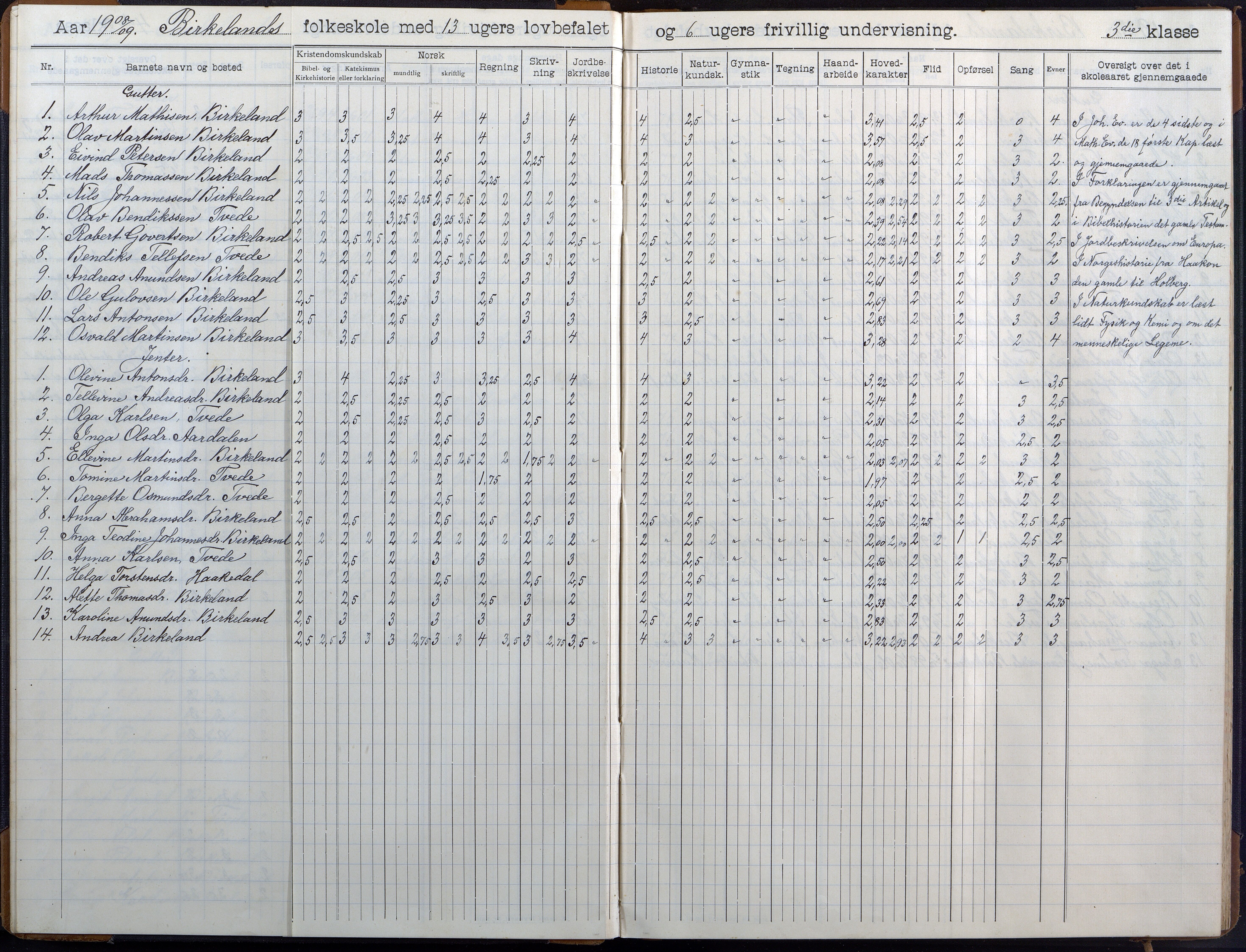 Birkenes kommune, Birkenes krets/Birkeland folkeskole frem til 1991, AAKS/KA0928-550a_91/F02/L0007: Skoleprotokoll, 1907-1931