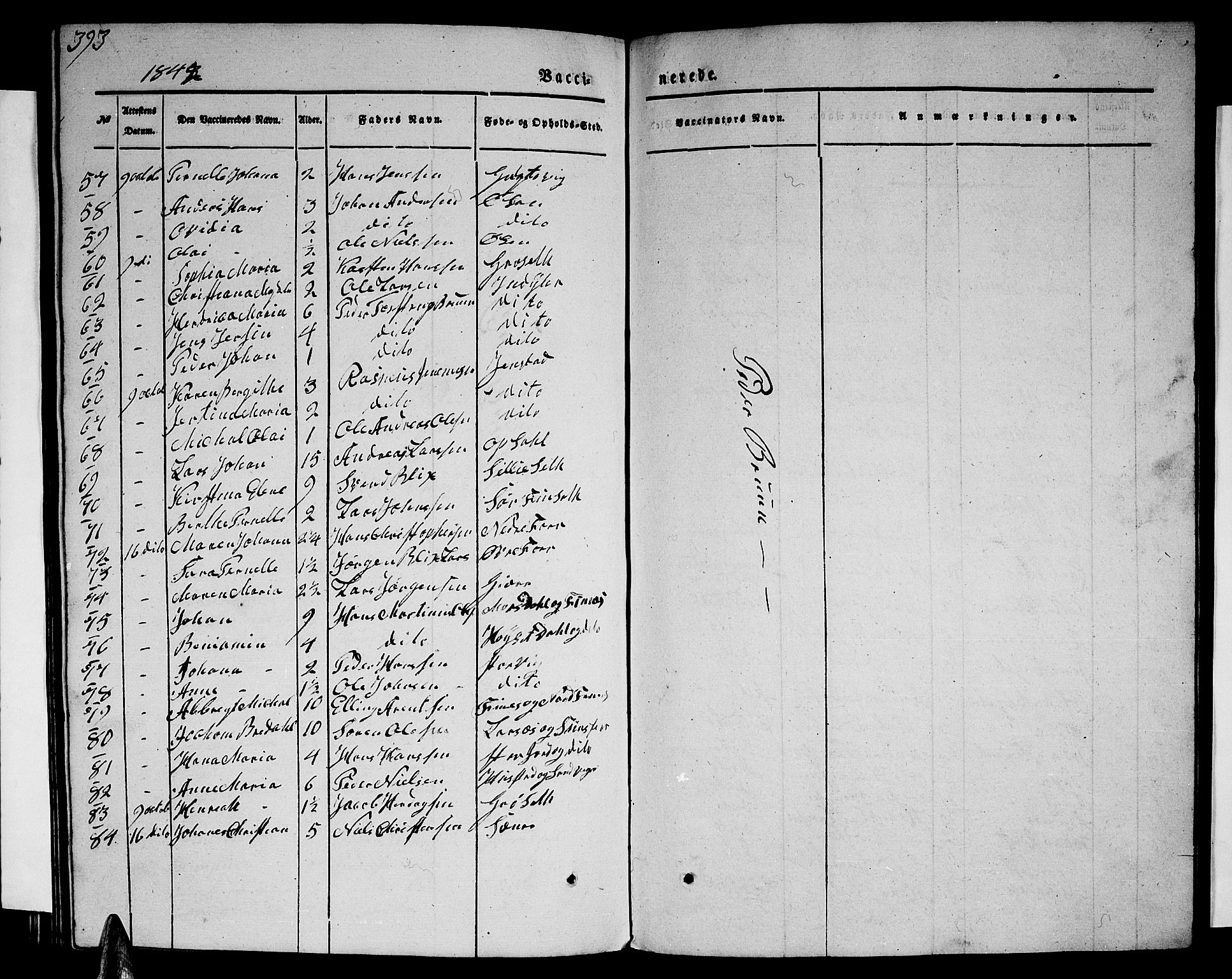 Ministerialprotokoller, klokkerbøker og fødselsregistre - Nordland, AV/SAT-A-1459/805/L0106: Parish register (copy) no. 805C02, 1841-1861, p. 393