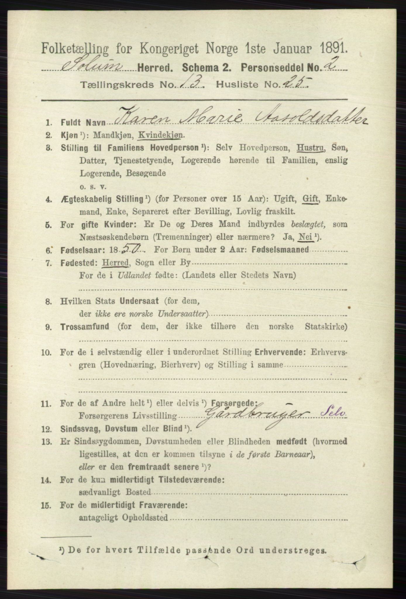 RA, 1891 census for 0818 Solum, 1891, p. 6174