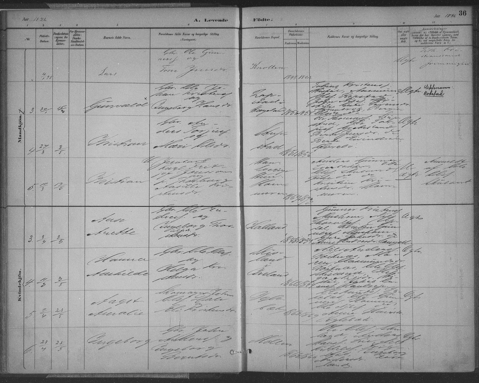 Vennesla sokneprestkontor, SAK/1111-0045/Fa/Fac/L0009: Parish register (official) no. A 9, 1884-1901, p. 36