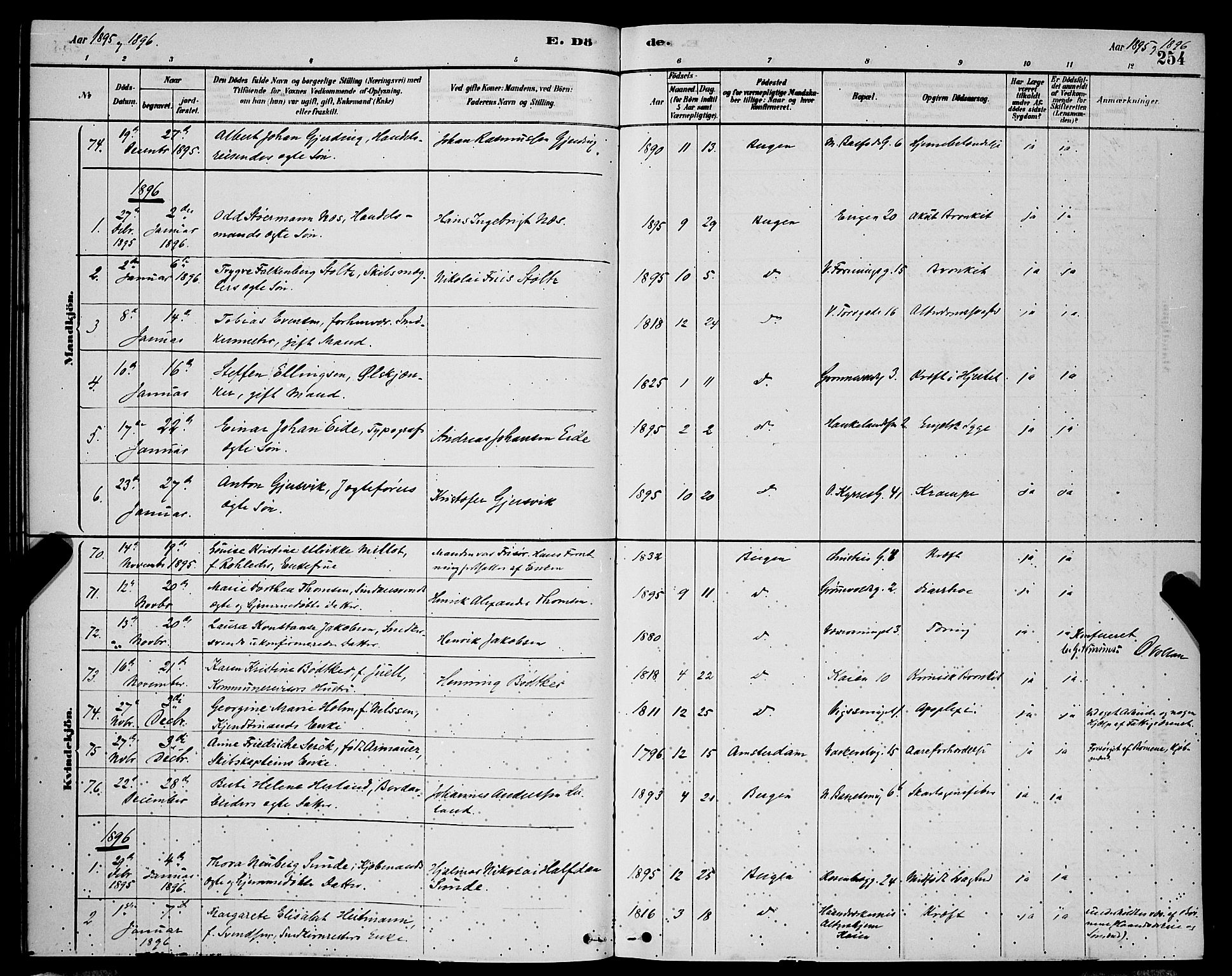 Domkirken sokneprestembete, SAB/A-74801/H/Hab/L0041: Parish register (copy) no. E 5, 1878-1900, p. 254
