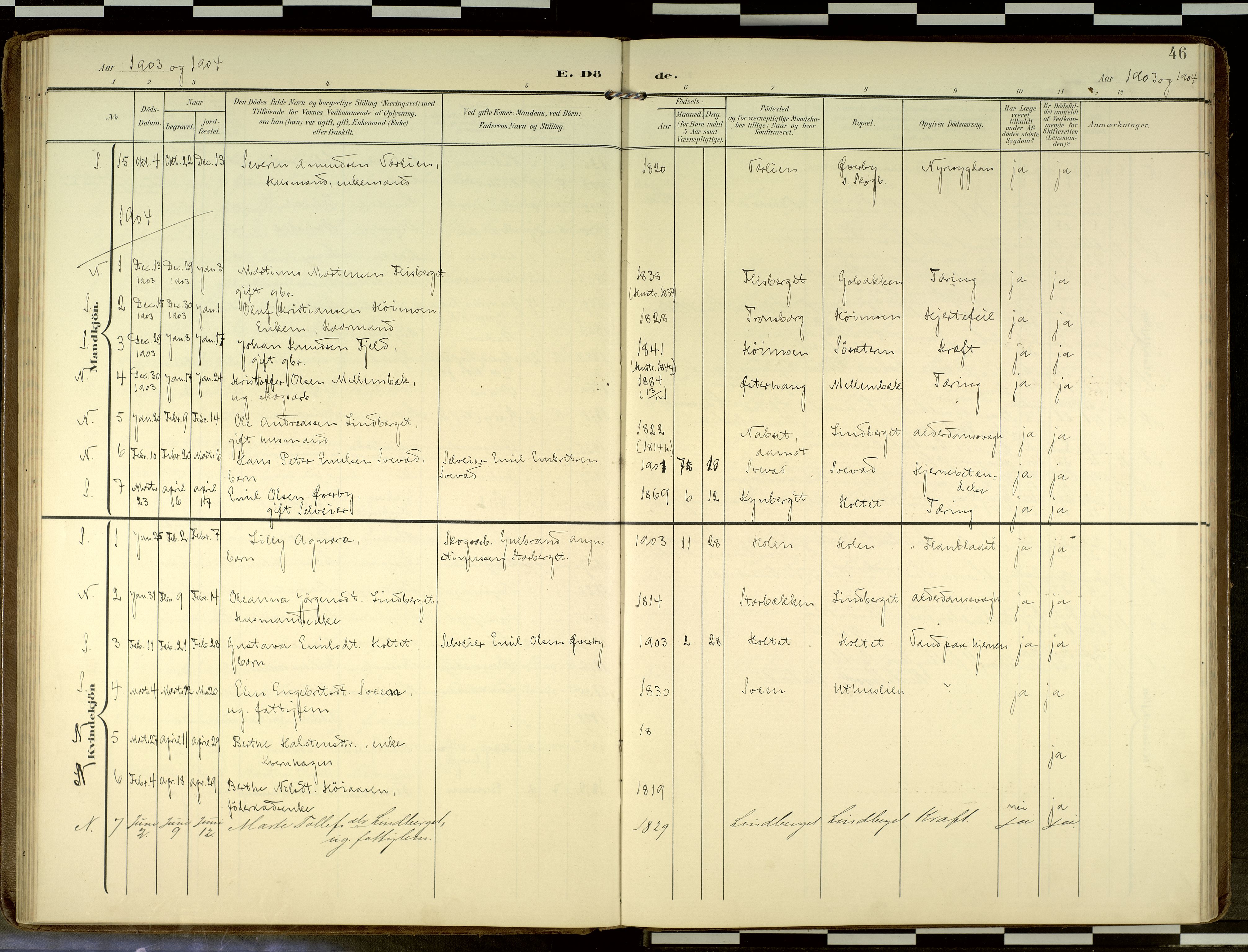 Elverum prestekontor, AV/SAH-PREST-044/H/Ha/Haa/L0019: Parish register (official) no. 19, 1903-1926, p. 46