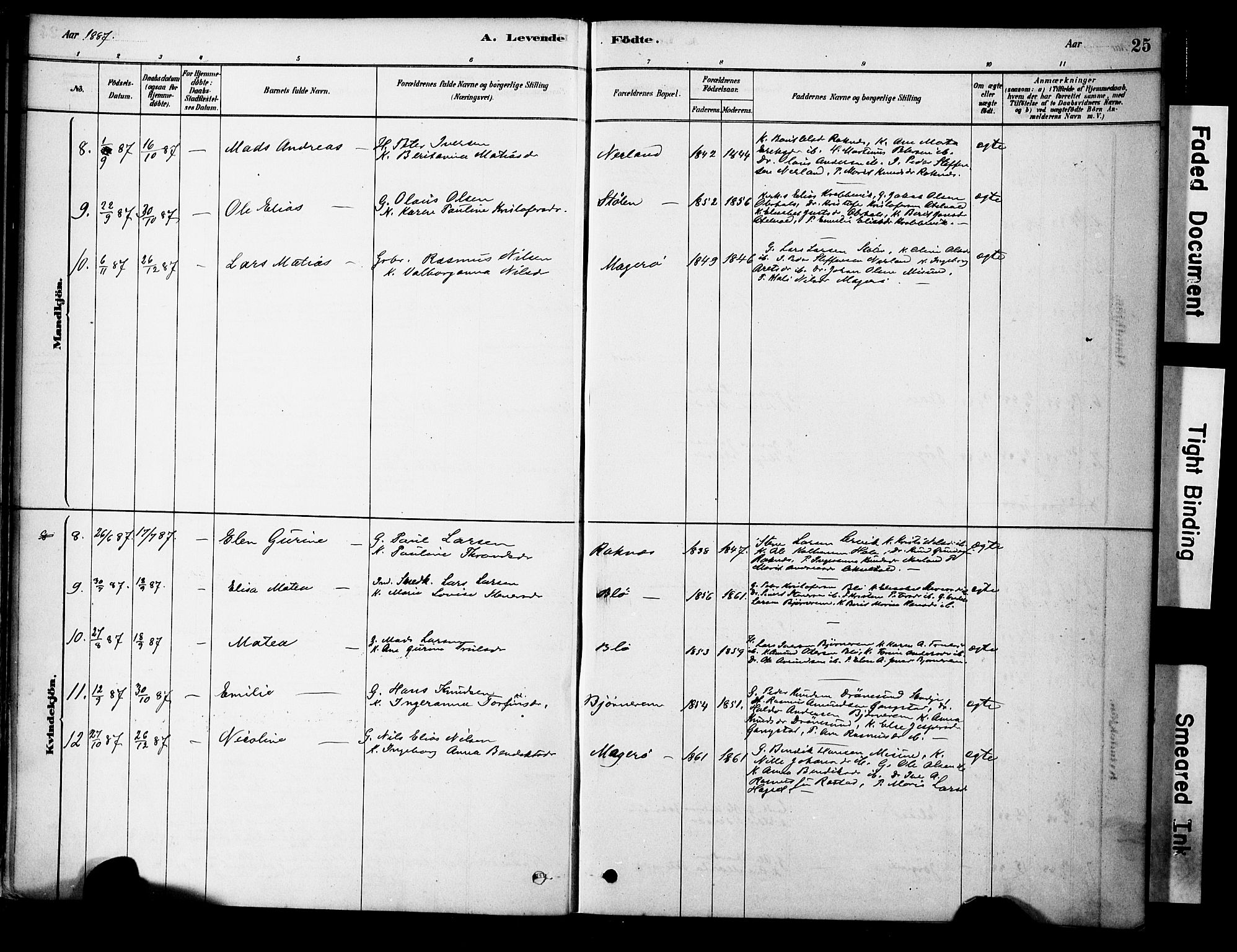 Ministerialprotokoller, klokkerbøker og fødselsregistre - Møre og Romsdal, AV/SAT-A-1454/563/L0736: Parish register (official) no. 563A01, 1878-1903, p. 25