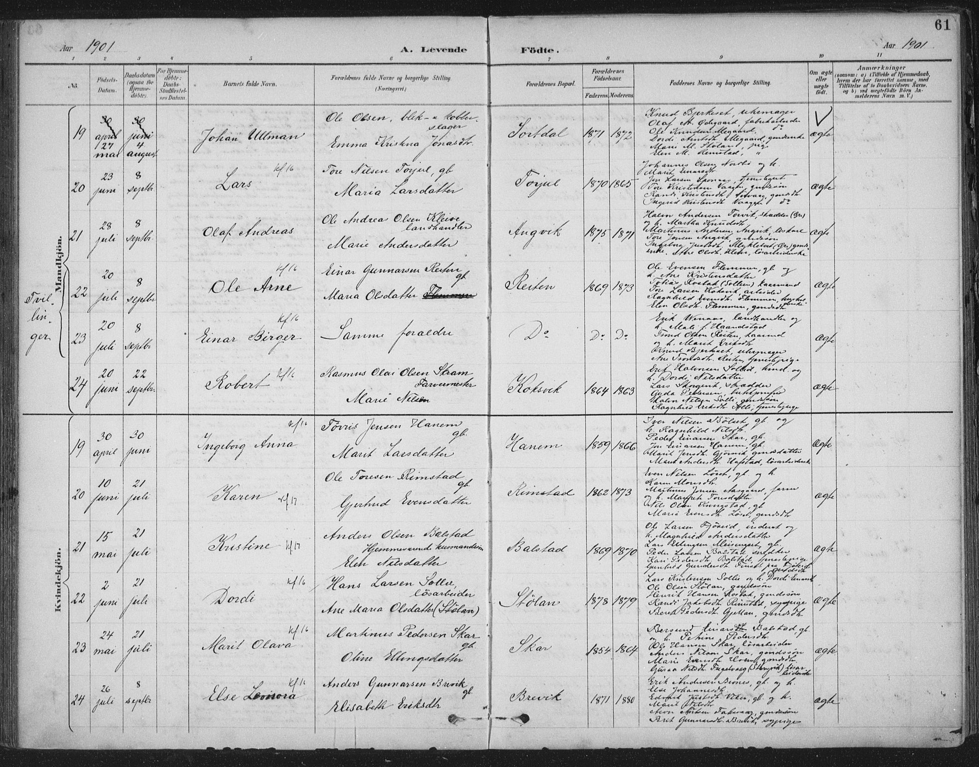 Ministerialprotokoller, klokkerbøker og fødselsregistre - Møre og Romsdal, AV/SAT-A-1454/586/L0988: Parish register (official) no. 586A14, 1893-1905, p. 61