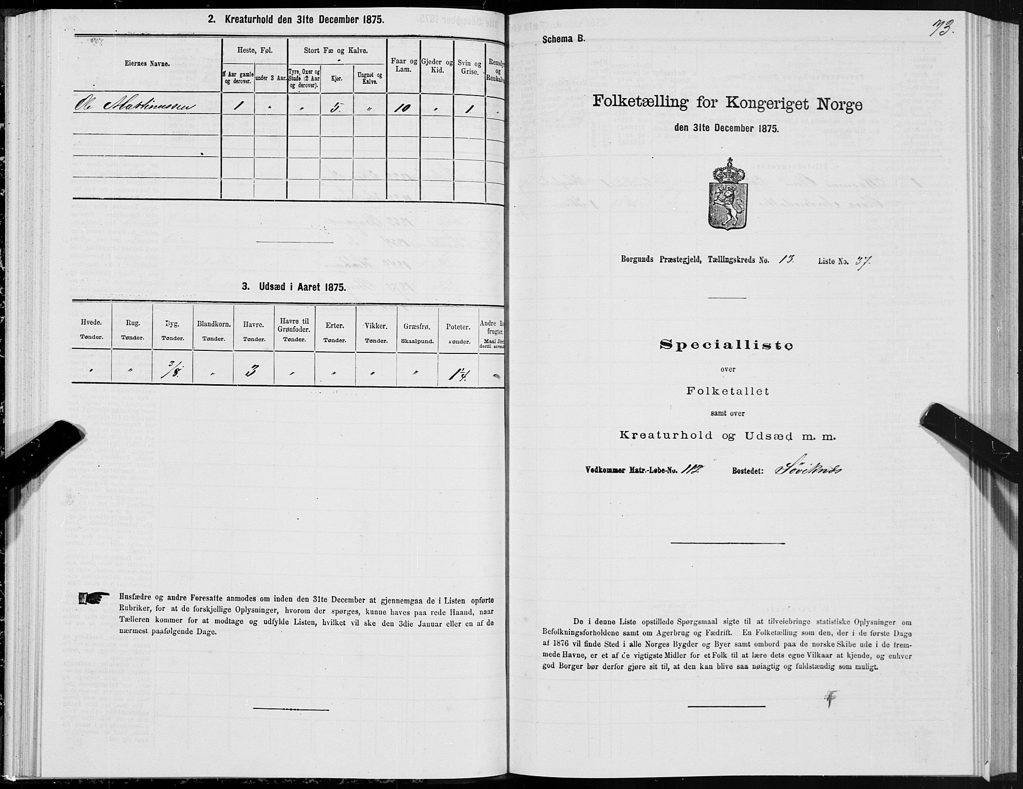 SAT, 1875 census for 1531P Borgund, 1875, p. 7073
