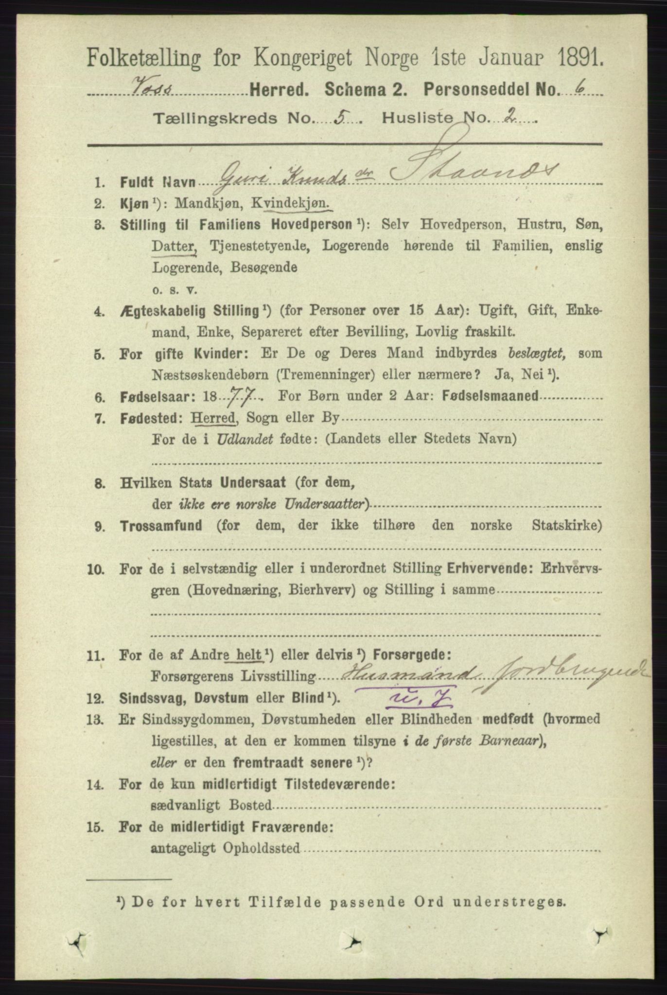 RA, 1891 census for 1235 Voss, 1891, p. 2716