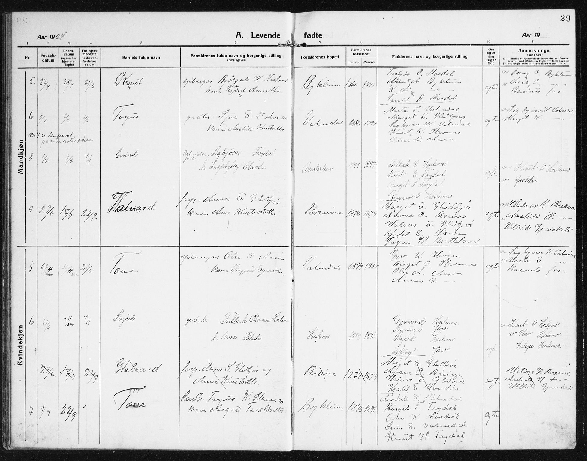 Valle sokneprestkontor, SAK/1111-0044/F/Fb/Fba/L0004: Parish register (copy) no. B 4, 1917-1944, p. 29