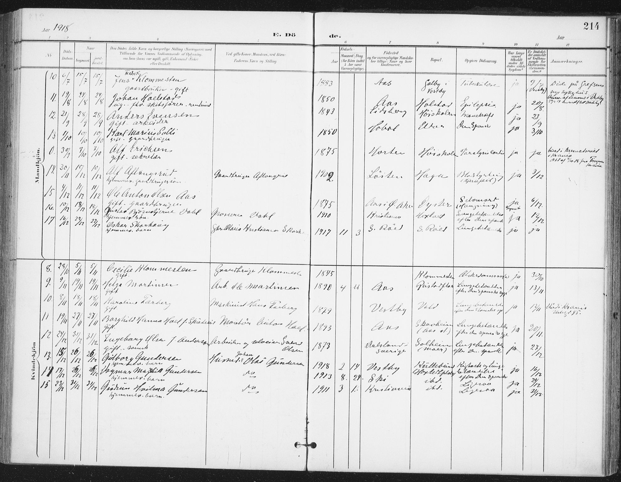 Ås prestekontor Kirkebøker, SAO/A-10894/F/Fa/L0010: Parish register (official) no. I 10, 1900-1918, p. 214