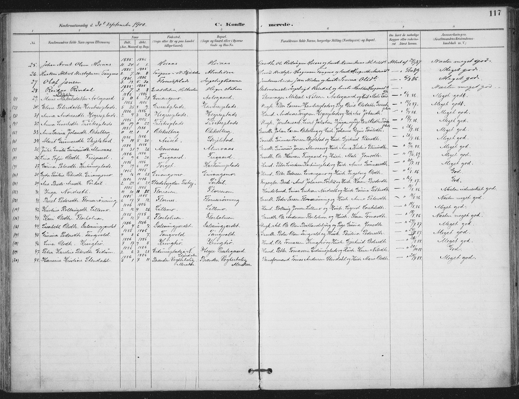 Ministerialprotokoller, klokkerbøker og fødselsregistre - Nord-Trøndelag, SAT/A-1458/703/L0031: Parish register (official) no. 703A04, 1893-1914, p. 117