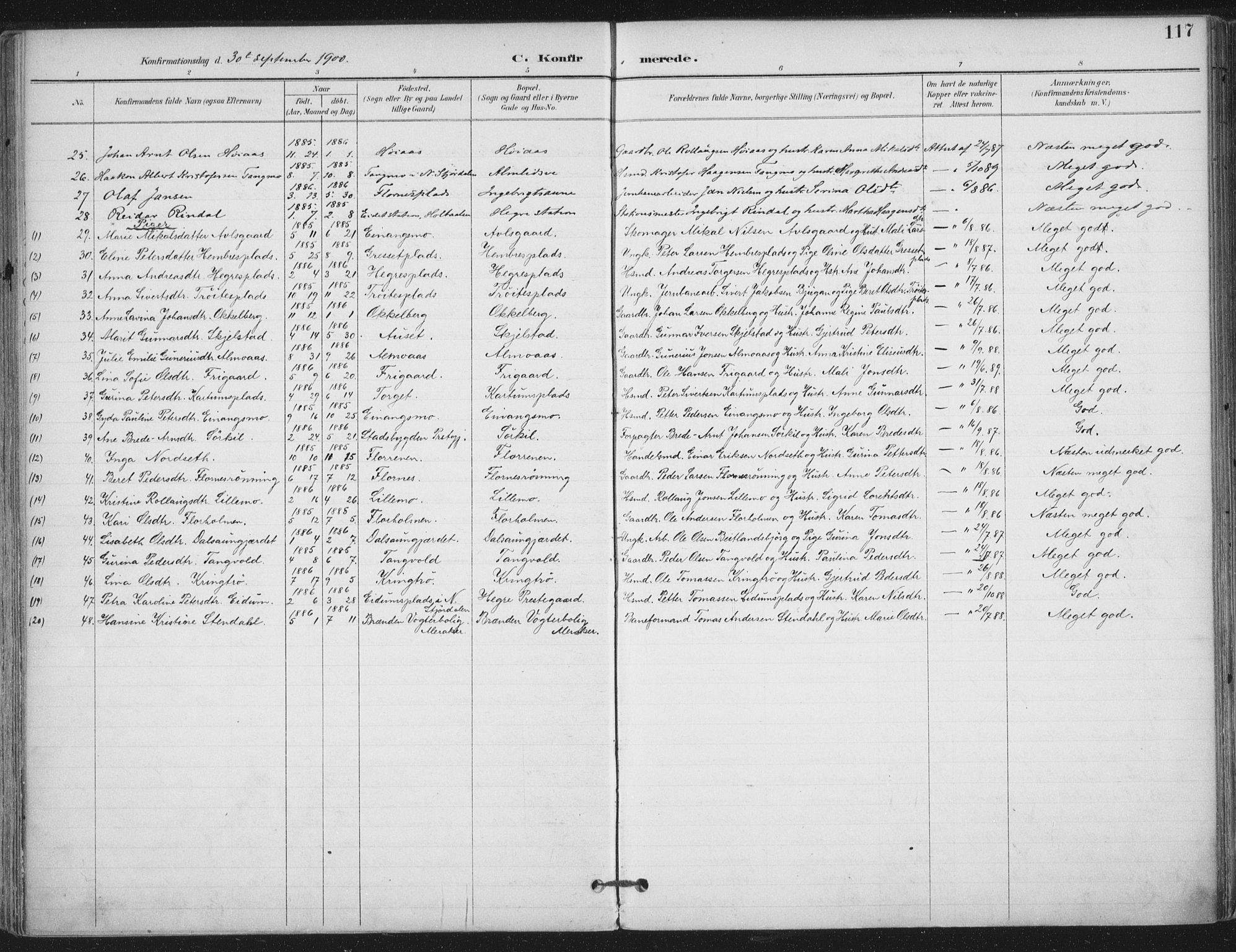 Ministerialprotokoller, klokkerbøker og fødselsregistre - Nord-Trøndelag, AV/SAT-A-1458/703/L0031: Parish register (official) no. 703A04, 1893-1914, p. 117