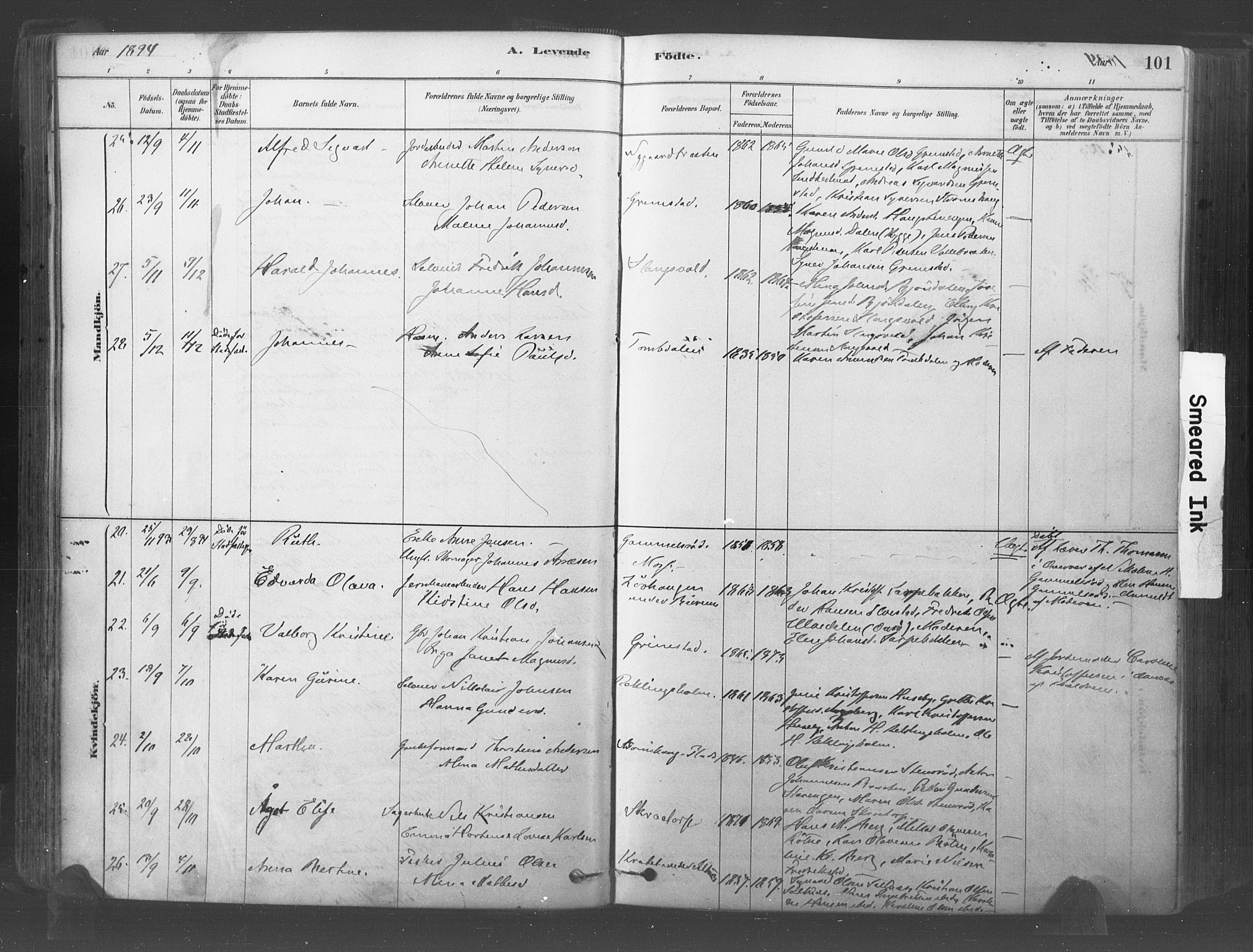 Råde prestekontor kirkebøker, AV/SAO-A-2009/F/Fa/L0007: Parish register (official) no. 7, 1878-1902, p. 101