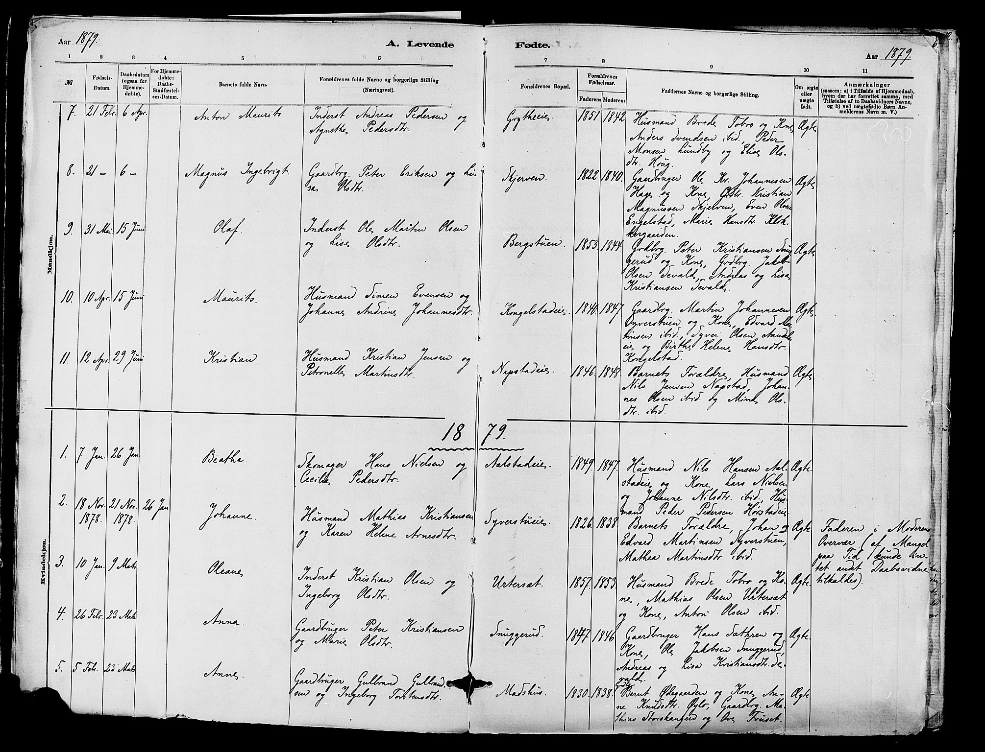 Vardal prestekontor, AV/SAH-PREST-100/H/Ha/Haa/L0010: Parish register (official) no. 10, 1878-1893, p. 6
