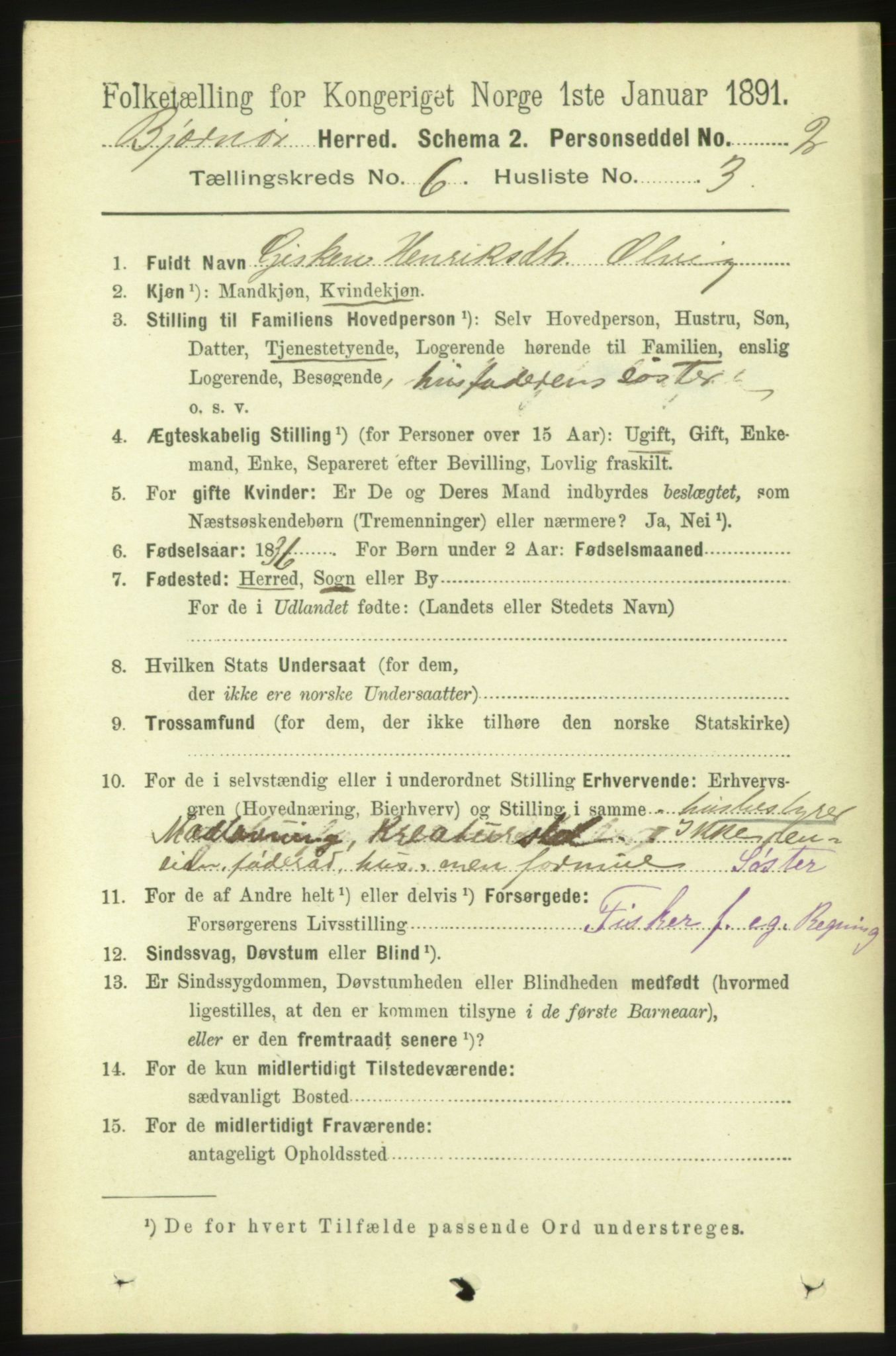 RA, 1891 census for 1632 Bjørnør, 1891, p. 2595