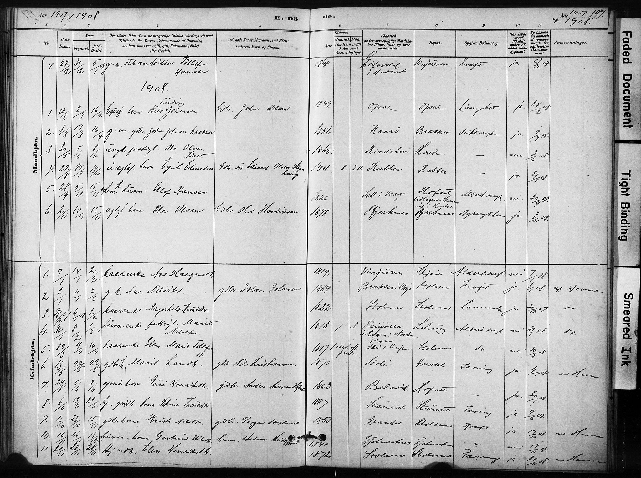 Ministerialprotokoller, klokkerbøker og fødselsregistre - Sør-Trøndelag, SAT/A-1456/631/L0512: Parish register (official) no. 631A01, 1879-1912, p. 197