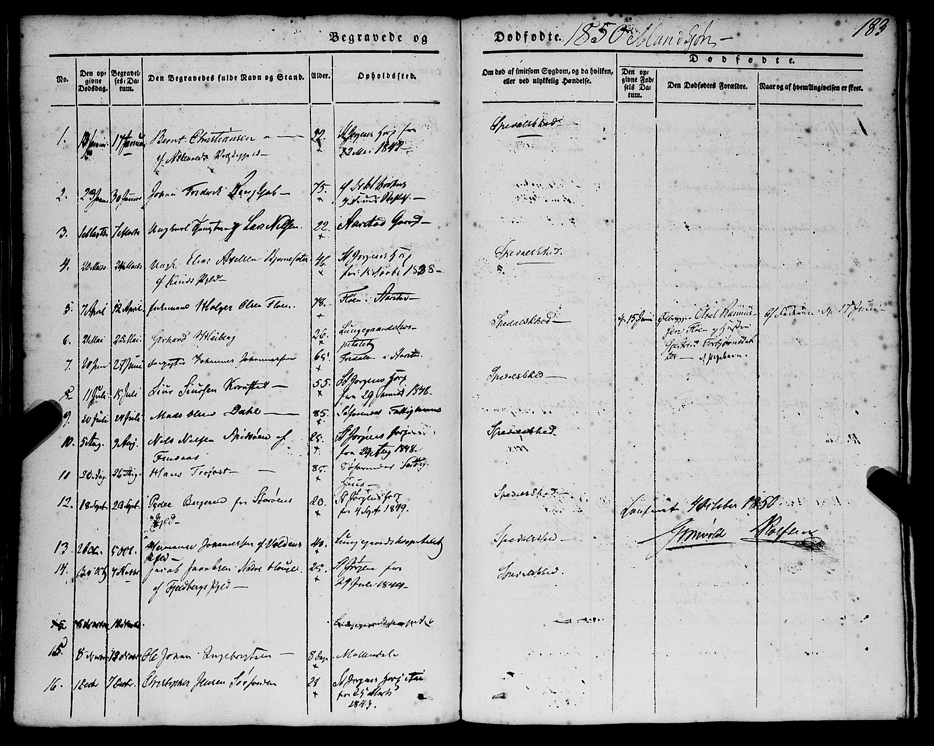 St. Jørgens hospital og Årstad sokneprestembete, AV/SAB-A-99934: Parish register (official) no. A 4, 1844-1863, p. 183