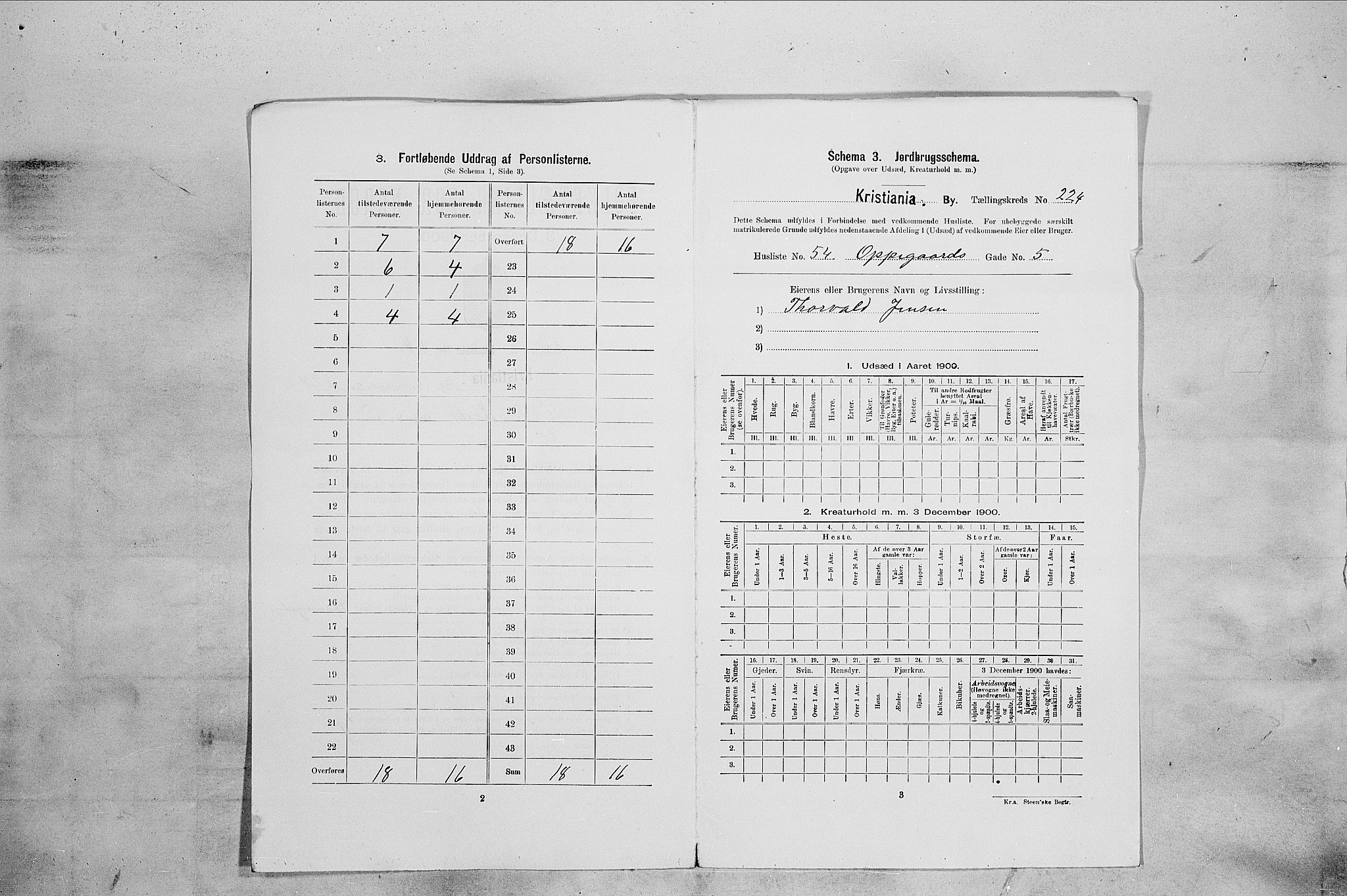 SAO, 1900 census for Kristiania, 1900, p. 68515