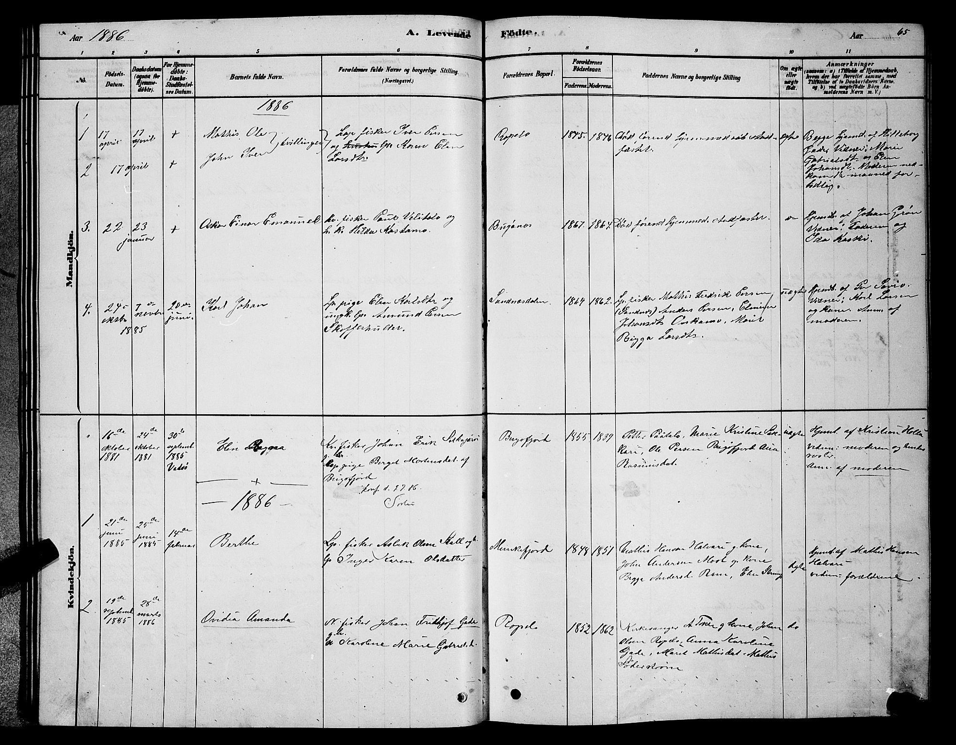 Sør-Varanger sokneprestkontor, SATØ/S-1331/H/Hb/L0003klokker: Parish register (copy) no. 3, 1878-1891, p. 65