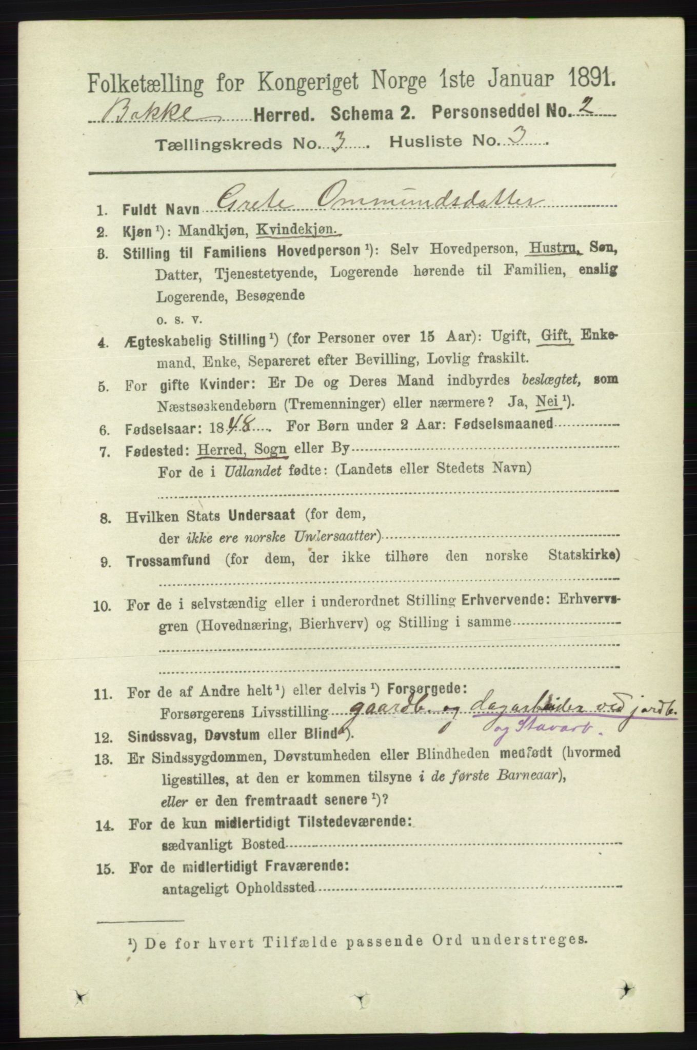 RA, 1891 census for 1045 Bakke, 1891, p. 419