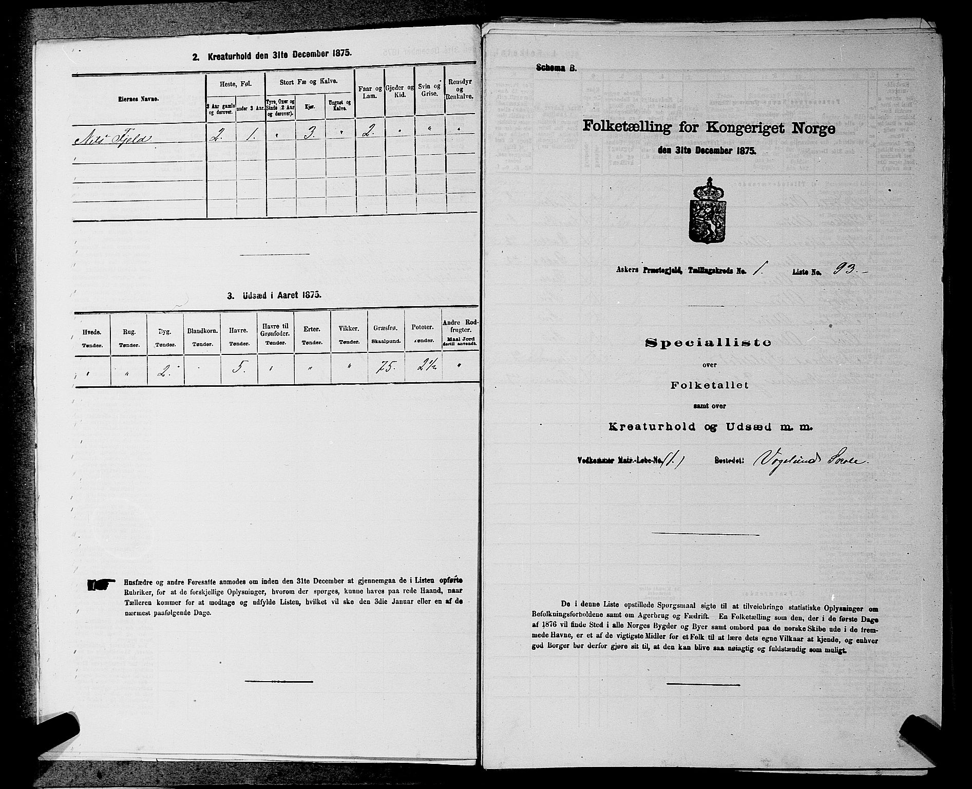 RA, 1875 census for 0220P Asker, 1875, p. 75