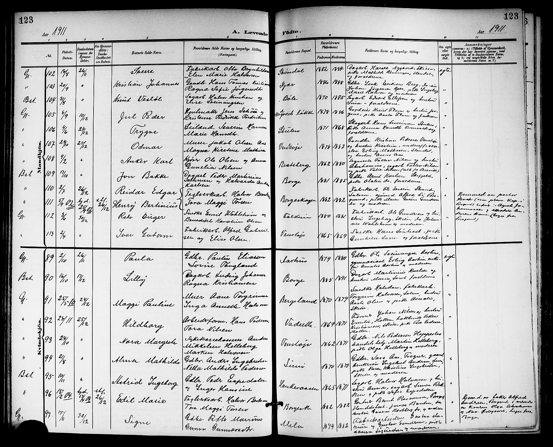 Gjerpen kirkebøker, SAKO/A-265/G/Ga/L0003: Parish register (copy) no. I 3, 1901-1919, p. 123