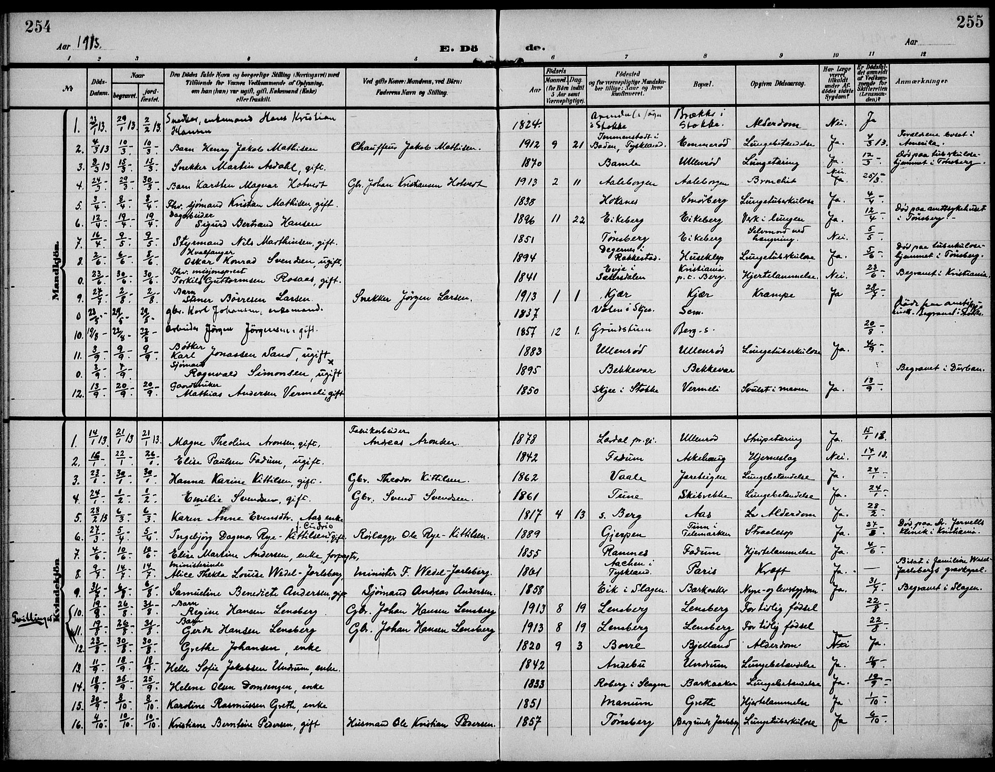 Sem kirkebøker, AV/SAKO-A-5/F/Fa/L0012: Parish register (official) no. I 12, 1905-1915, p. 254-255