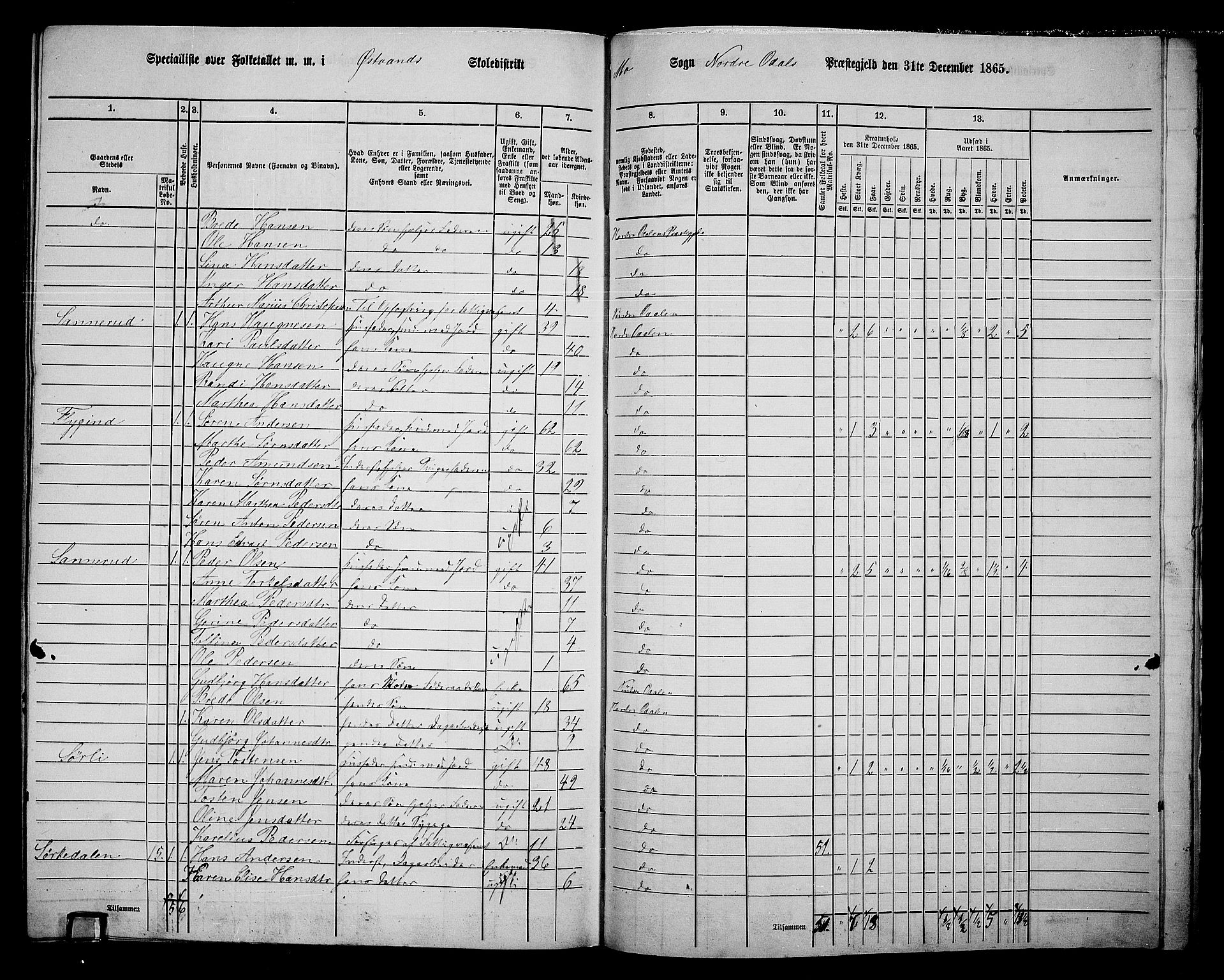 RA, 1865 census for Nord-Odal, 1865, p. 157