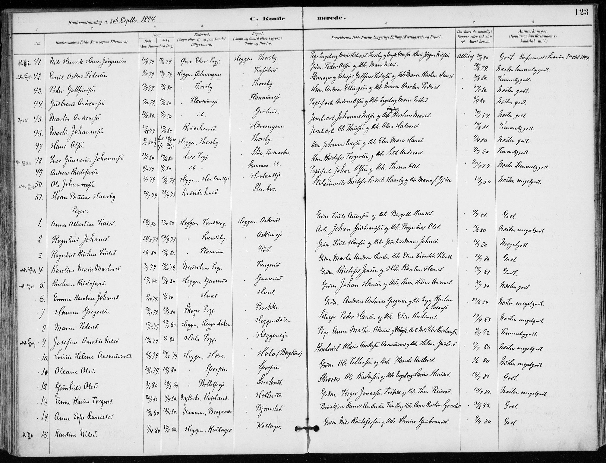 Modum kirkebøker, AV/SAKO-A-234/F/Fa/L0012: Parish register (official) no. 12, 1890-1898, p. 123