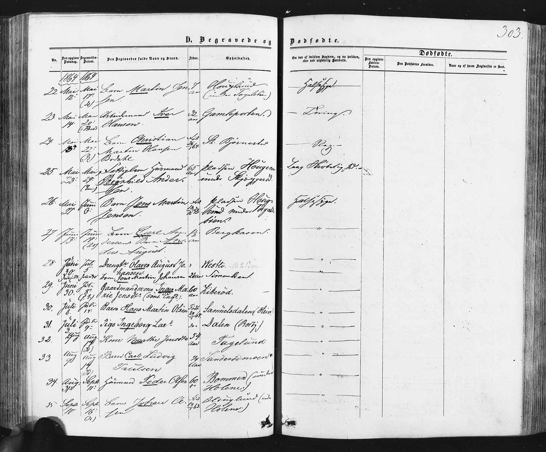 Idd prestekontor Kirkebøker, AV/SAO-A-10911/F/Fc/L0005: Parish register (official) no. III 5, 1861-1877, p. 303