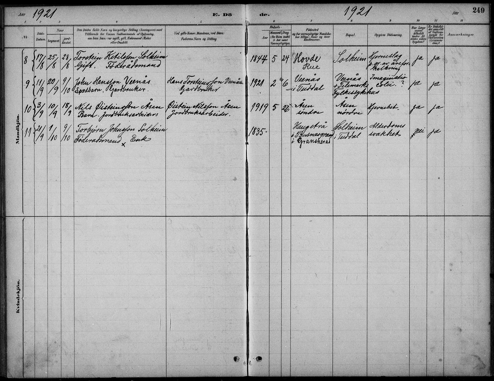 Hjartdal kirkebøker, SAKO/A-270/F/Fc/L0002: Parish register (official) no. III 2, 1880-1936, p. 249