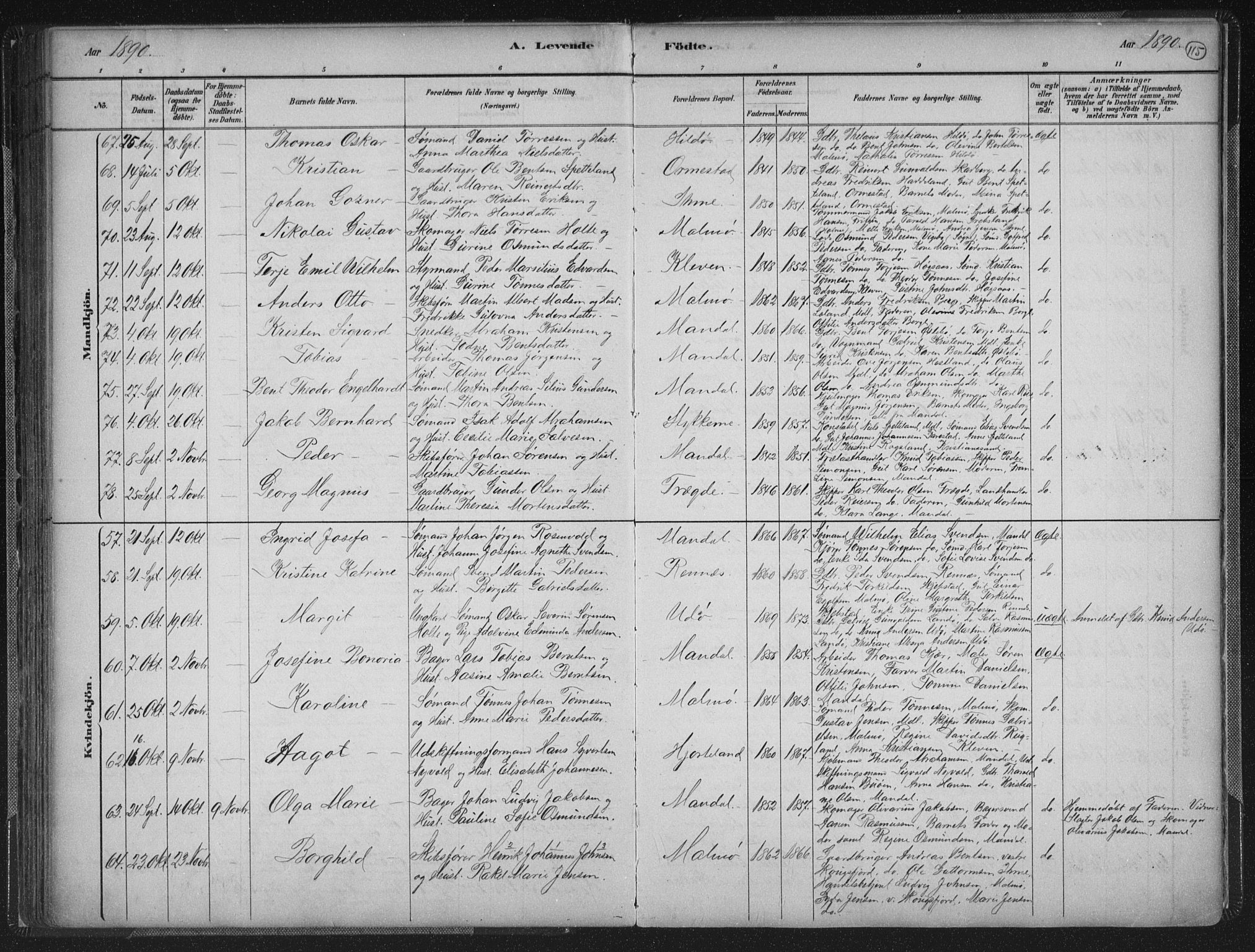 Mandal sokneprestkontor, AV/SAK-1111-0030/F/Fb/Fba/L0011: Parish register (copy) no. B 5, 1880-1898, p. 115