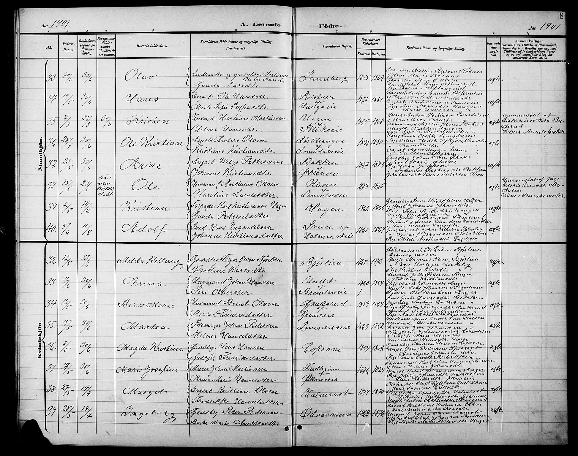 Søndre Land prestekontor, AV/SAH-PREST-122/L/L0004: Parish register (copy) no. 4, 1901-1915, p. 8